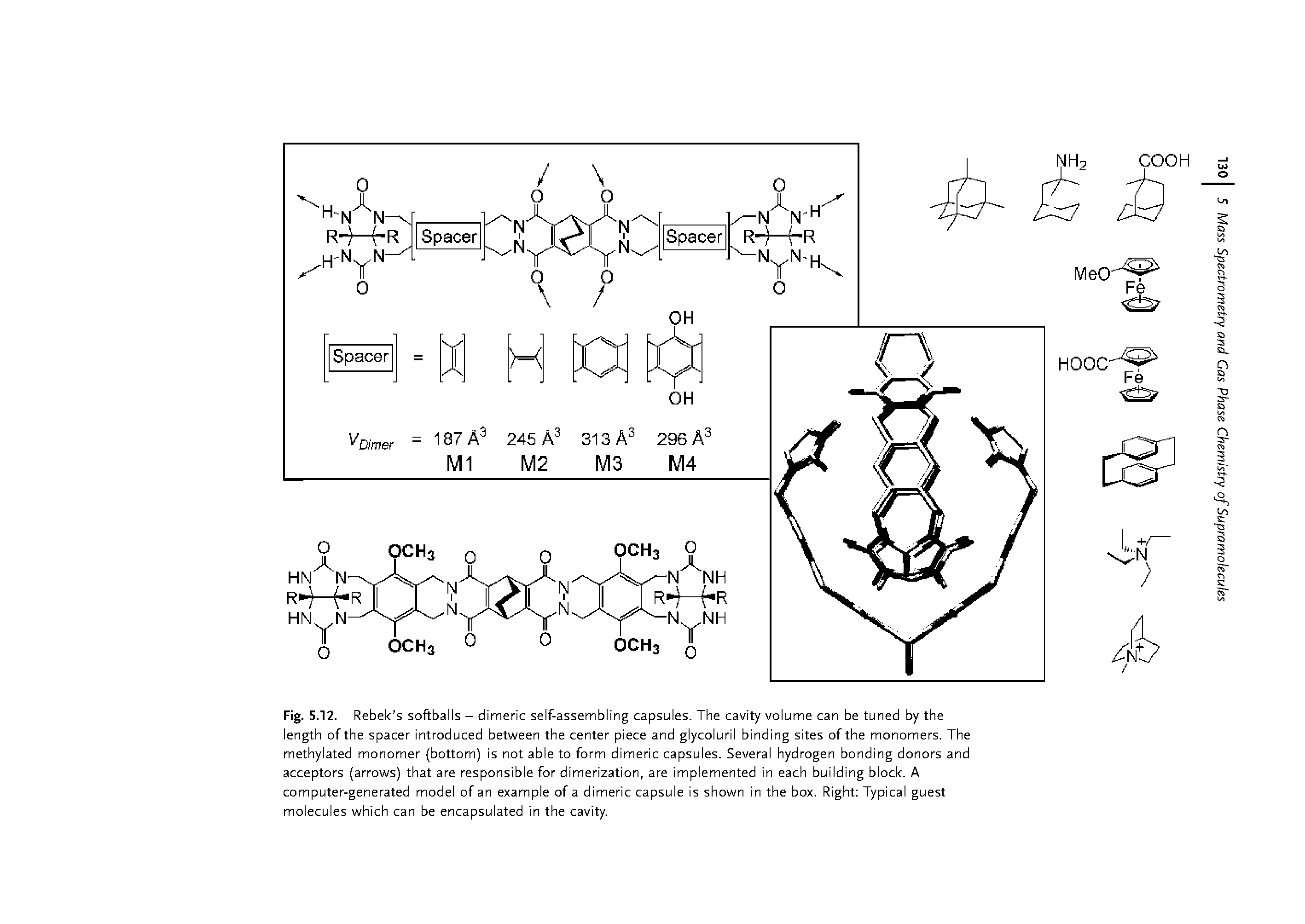 Fig. 5.12. Rebek s softballs — dimeric self-assembling capsules. The cavity volume can be tuned by the length of the spacer introduced between the center piece and glycoluril binding sites of the monomers. The methylated monomer (bottom) is not able to form dimeric capsules. Several hydrogen bonding donors and acceptors (arrows) that are responsible for dimerization, are implemented in each building block. A computer-generated model of an example of a dimeric capsule is shown in the box. Right Typical guest molecules which can be encapsulated in the cavity.