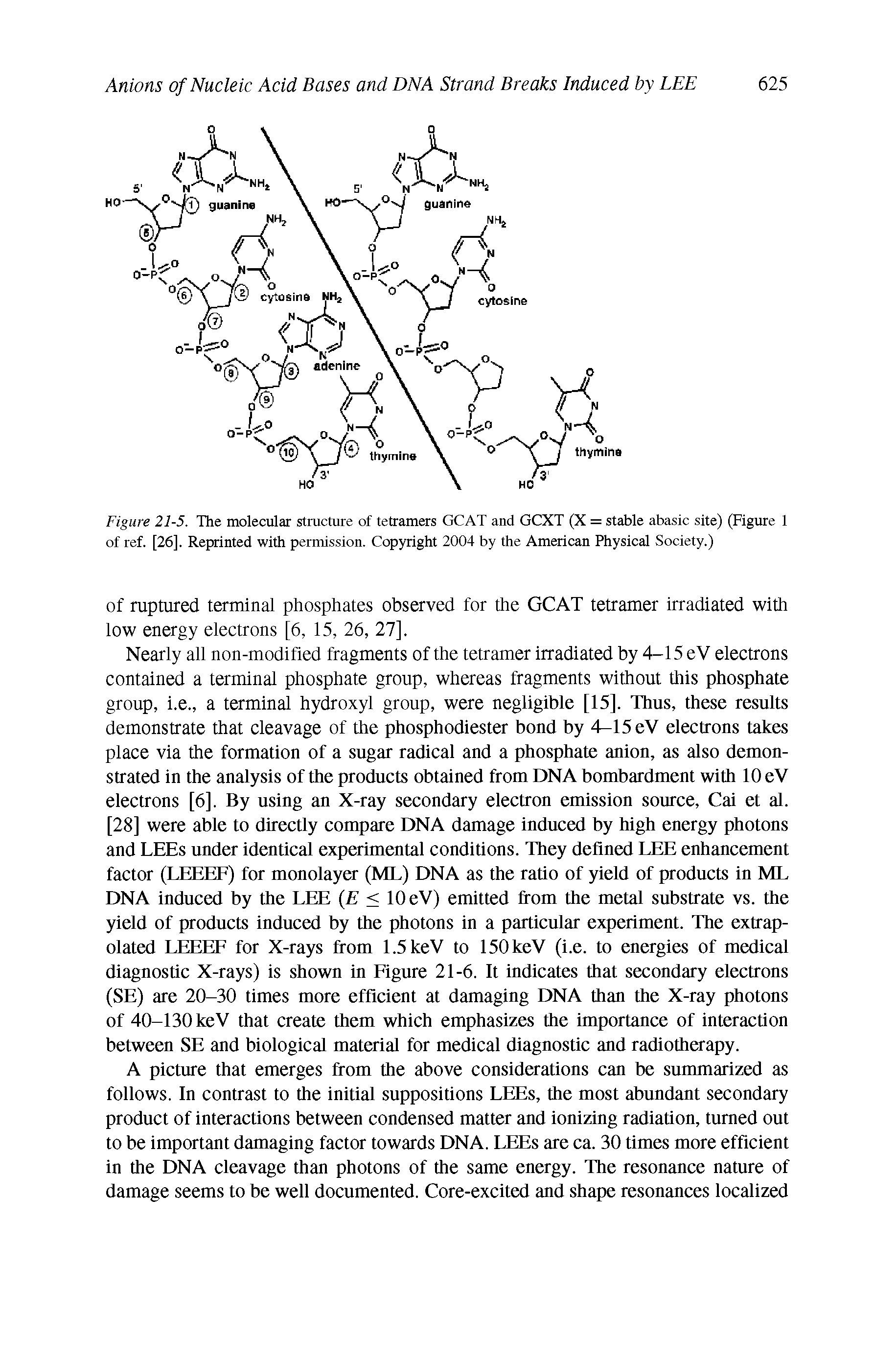 Figure 21-5. The molecular structure of tetramers GCAT and GCXT (X = stable abasic site) (Figure 1 of ref. [26]. Reprinted with permission. Copyright 2004 by the American Physical Society.)...
