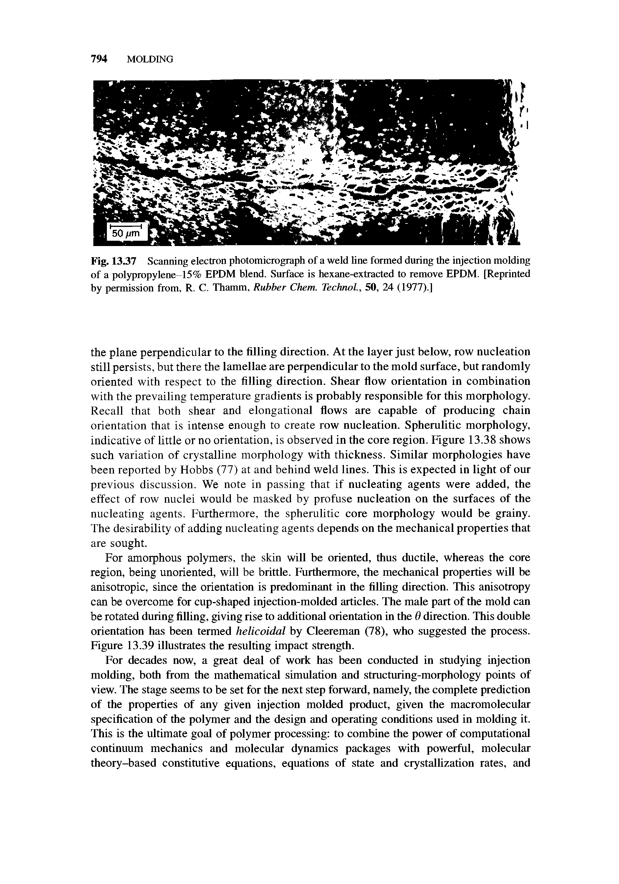 Fig. 13.37 Scanning electron photomicrograph of a weld line formed during the injection molding of a polypropylene-15% EPDM blend. Surface is hexane-extracted to remove EPDM. [Reprinted by permission from, R. C. Thamm, Rubber Chem. Technol., 50, 24 (1977).]...