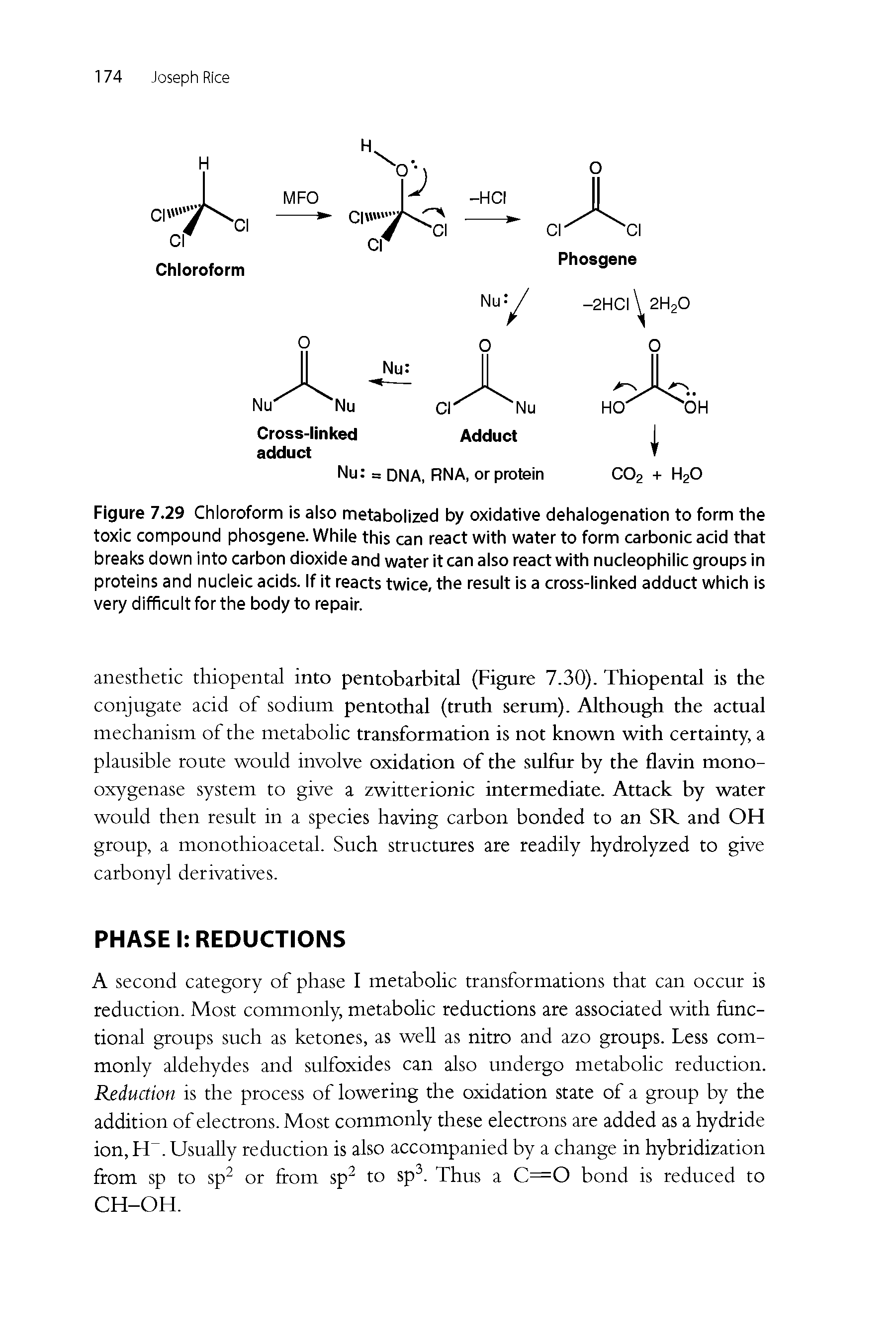 Figure 7.29 Chloroform is also metabolized by oxidative dehalogenation to form the toxic compound phosgene. While this can react with water to form carbonic acid that breaks down into carbon dioxide and water it can also react with nucleophilic groups in proteins and nucieic acids. If it reacts twice, the result is a cross-linked adduct which is very difficult for the body to repair.