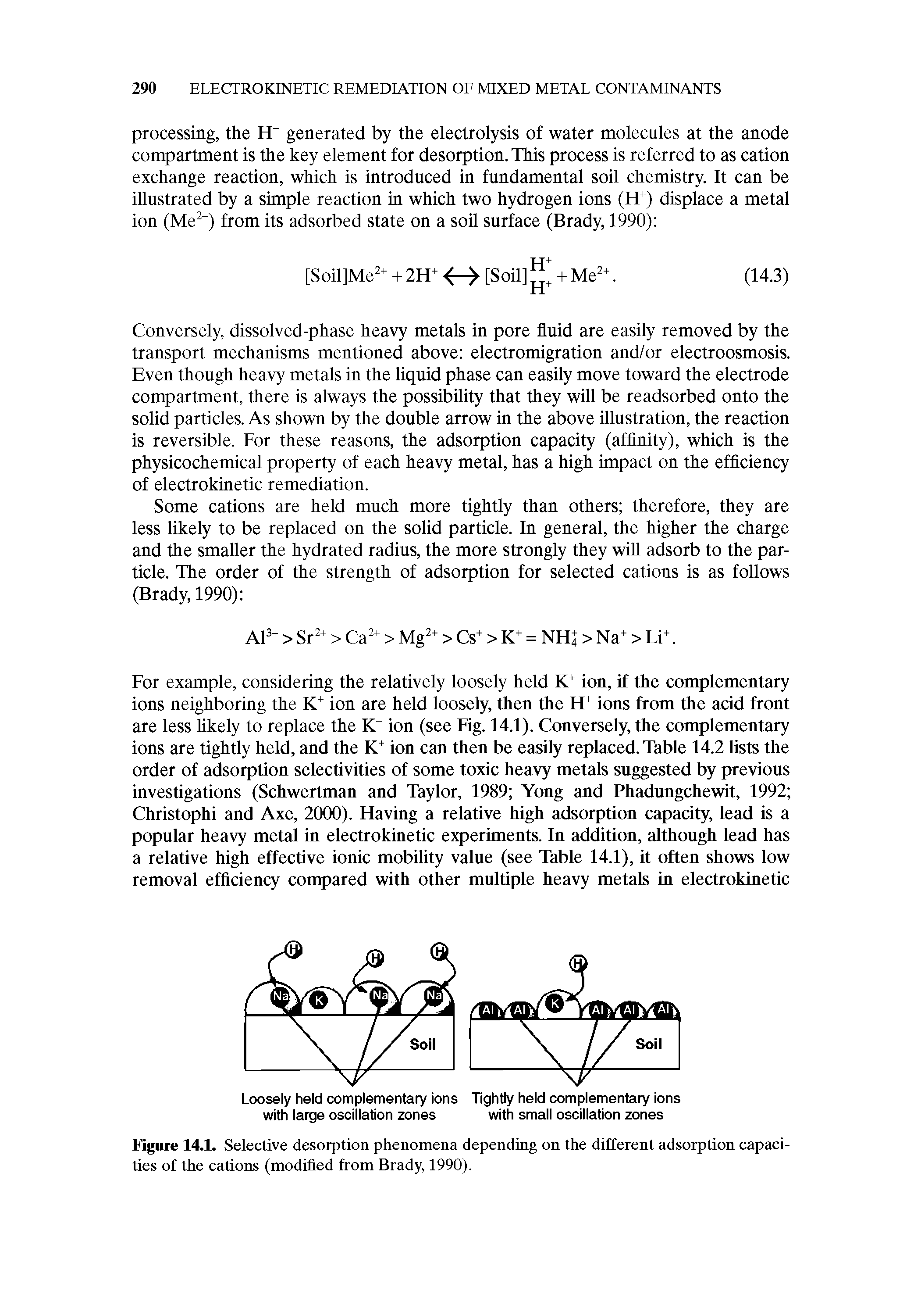 Figure 14.1. Selective desorption phenomena depending on the different adsorption capacities of the cations (modified from Brady, 1990).