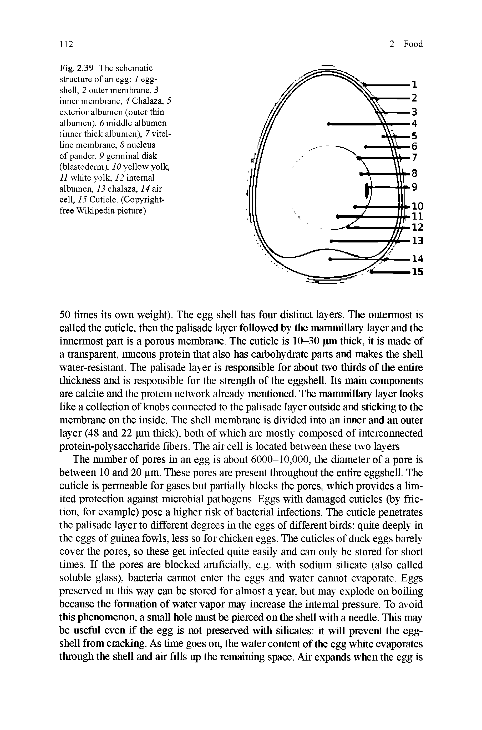 Fig. 2.39 The schematic structure of an egg I eggshell, 2 outer membrane, 3 inner membrane, 4 Chalaza, 5 exterior albumen (outer thin albumen), 6 middle albumen (inner thick albumen), 7 vitelline membrane, 8 nucleus of pander, 9 germinal disk (blastoderm), 10 yellow yolk, 11 white yolk, 12 internal albumen, 13 chalaza, 14 air cell, 15 Cuticle. (Copyright-free Wikipedia picture)...