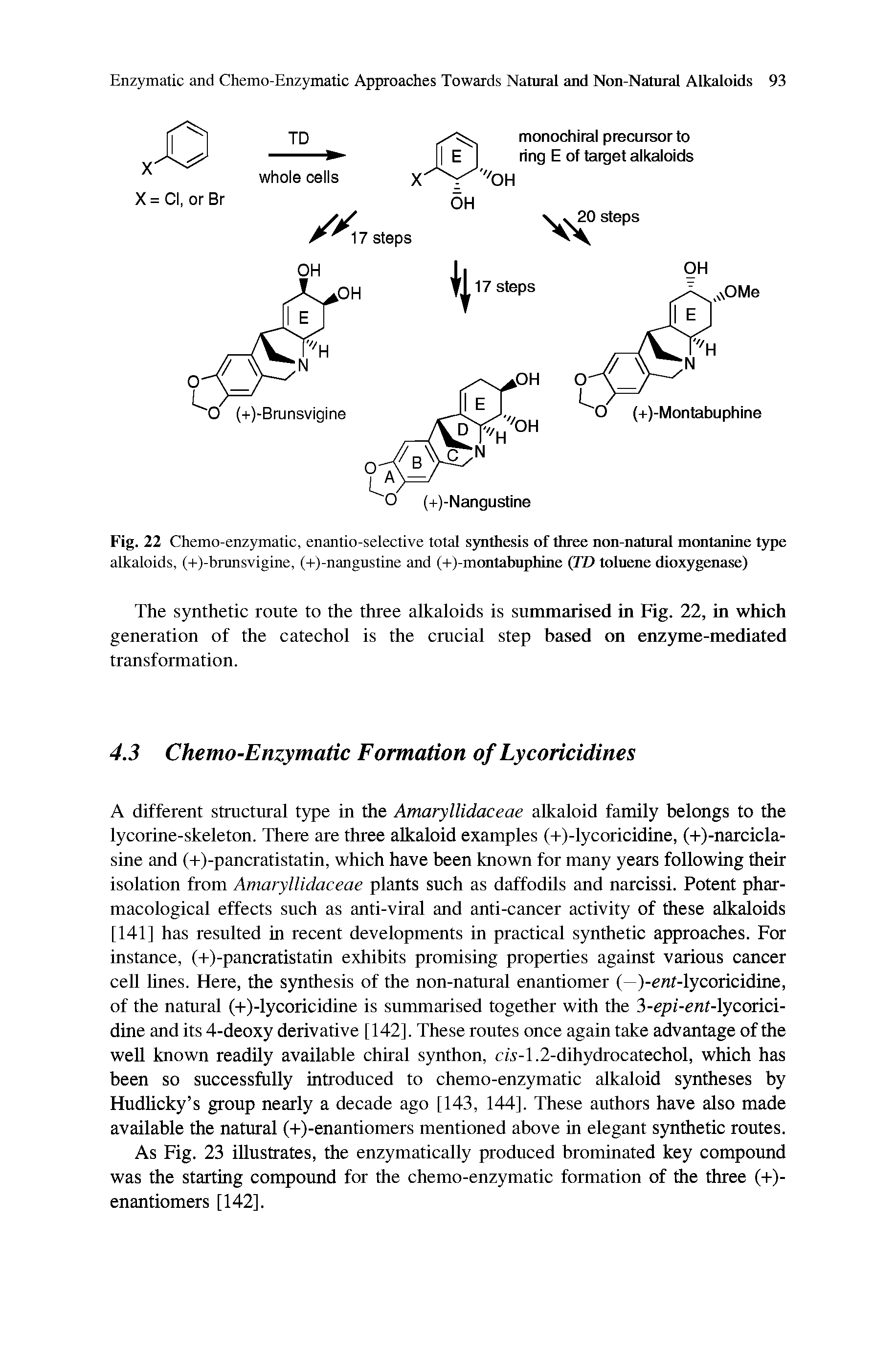 Fig. 22 Chemo-enzymatic, enantio-selective total synthesis of three non-natural montanine type alkaloids, (+)-brunsvigine, (+)-nangustine and (+)-montabuphine (TD toluene dioxygenase)...