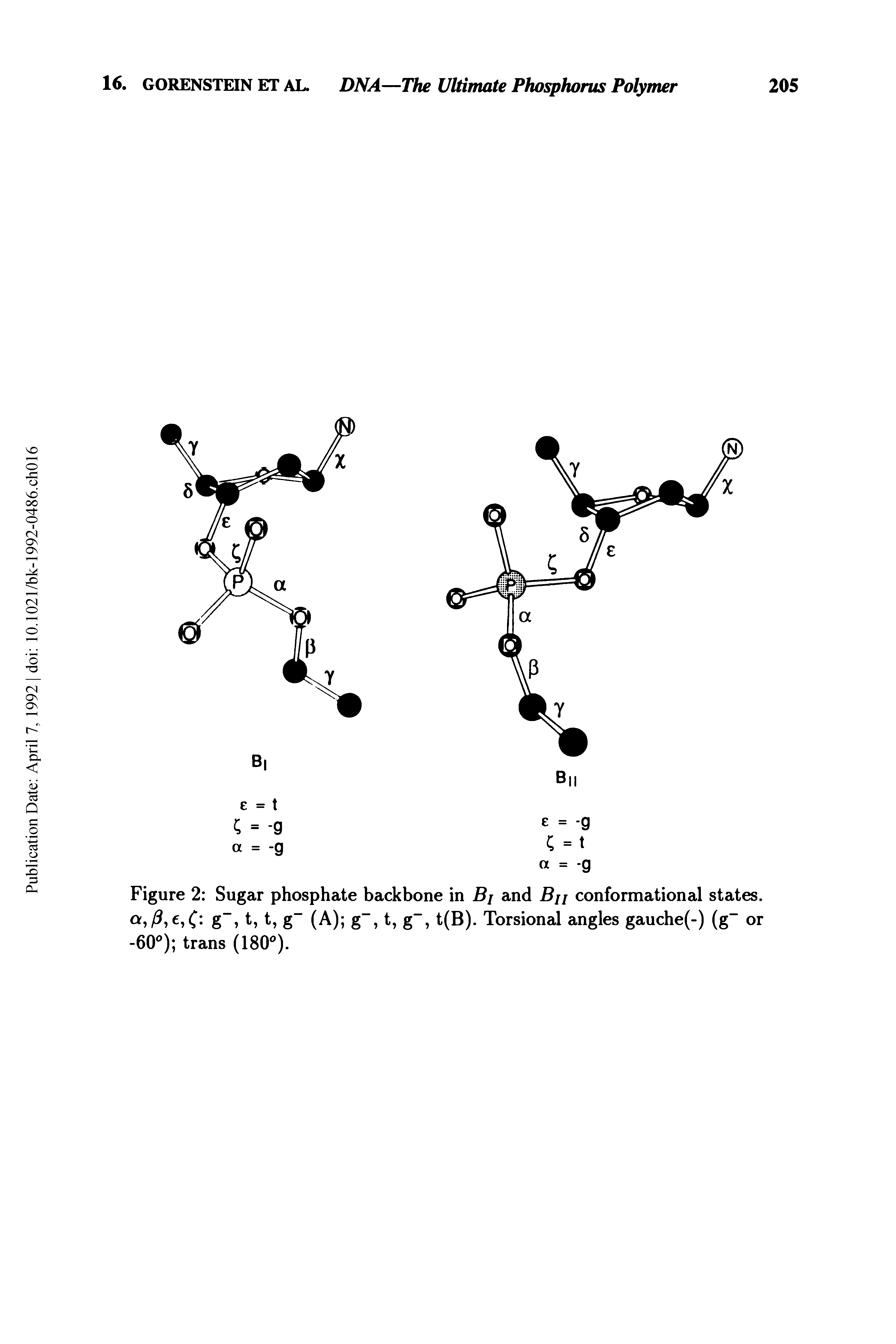 Figure 2 Sugar phosphate backbone in Bj and Bu conformational states.