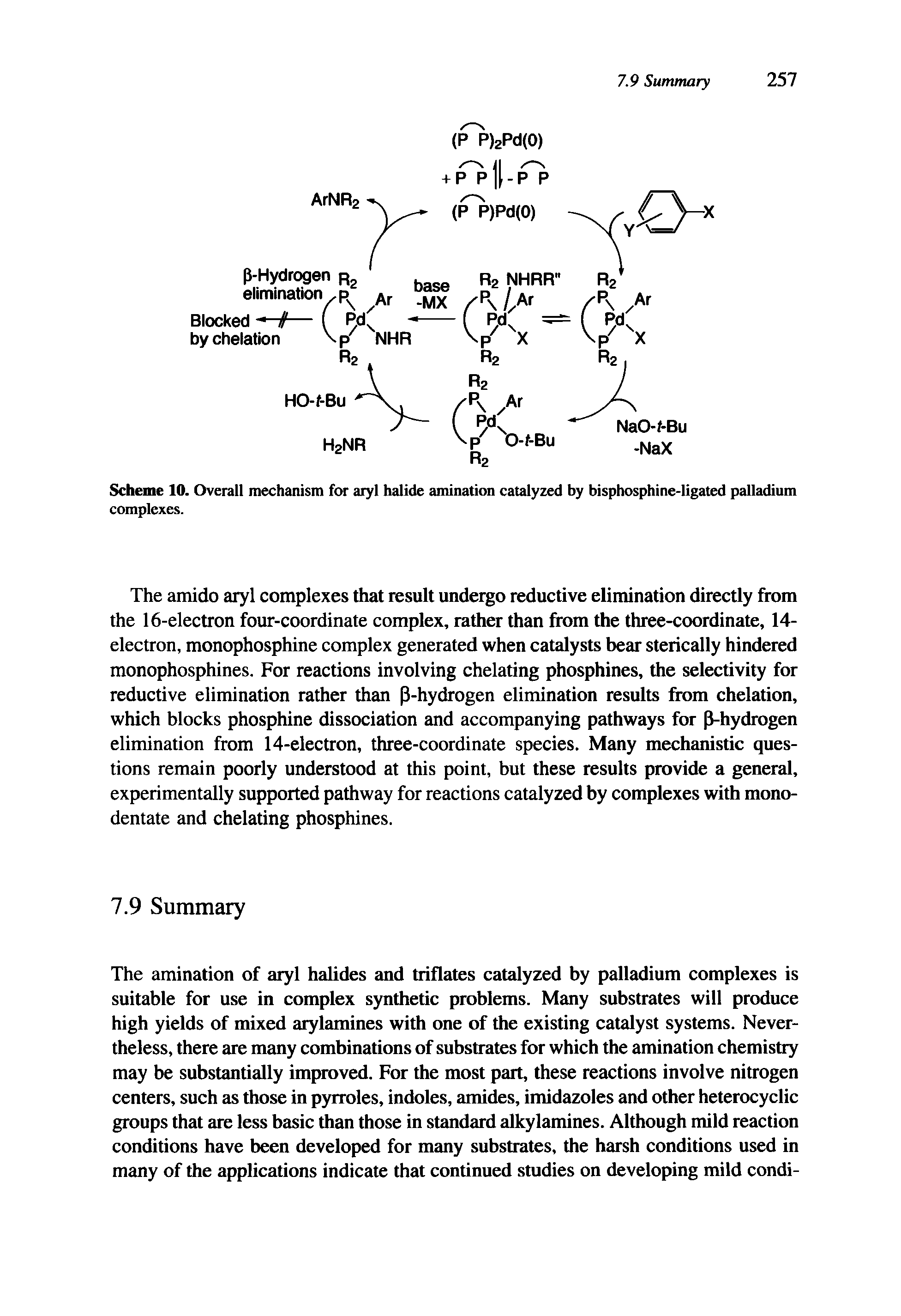 Scheme 10. Overall mechanism for aryl halide amination catalyzed by bisphosphine-ligated palladium complexes.