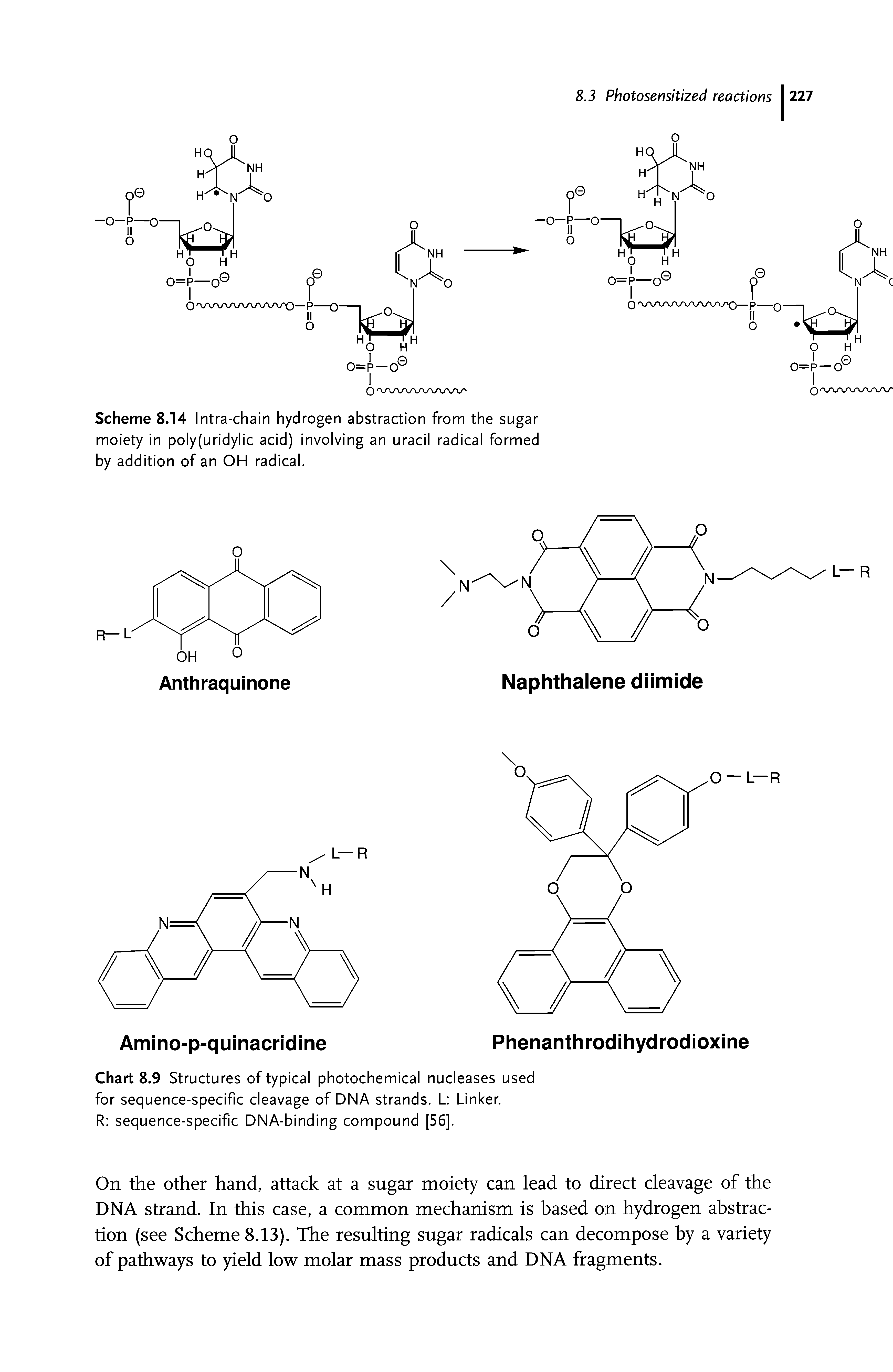 Scheme 8.14 Intra-chain hydrogen abstraction from the sugar moiety in poly(uridylic acid) involving an uracil radical formed by addition of an OH radical.