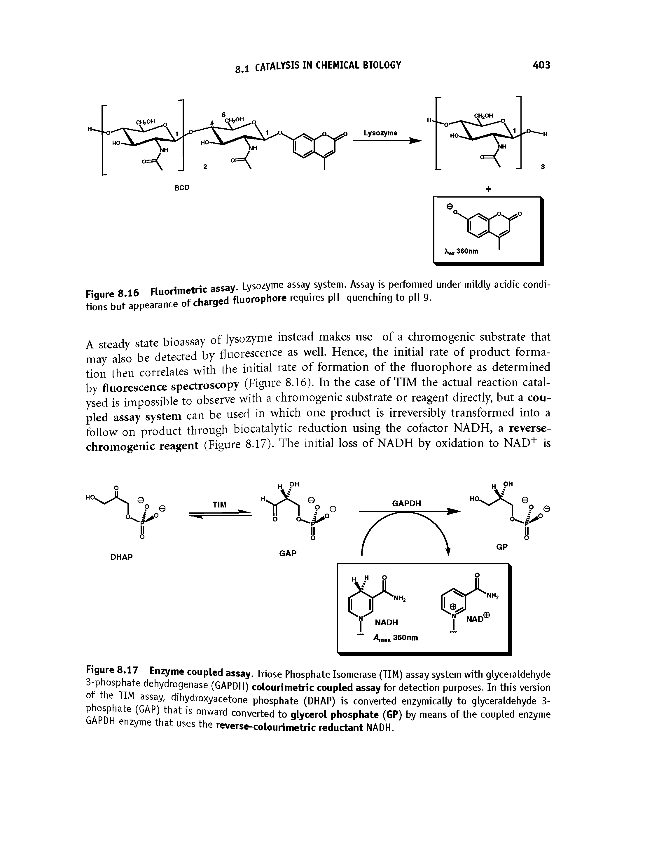Figure 8.17 Enzyme coupled assay. Triose Phosphate Isomerase (TIM) assay system with glyceraldehyde 3-phosphate dehydrogenase (GAPDH) colourimetric coupled assay for detection purposes. In this version of the TIM assay, dihydroxyacetone phosphate (DHAP) is converted enzymically to glyceraldehyde 3-phosphate (GAP) that is onward converted to glycerol phosphate (GP) by means of the coupled enzyme GAPDH enzyme that uses the reverse-colourimetric reductant NADH.