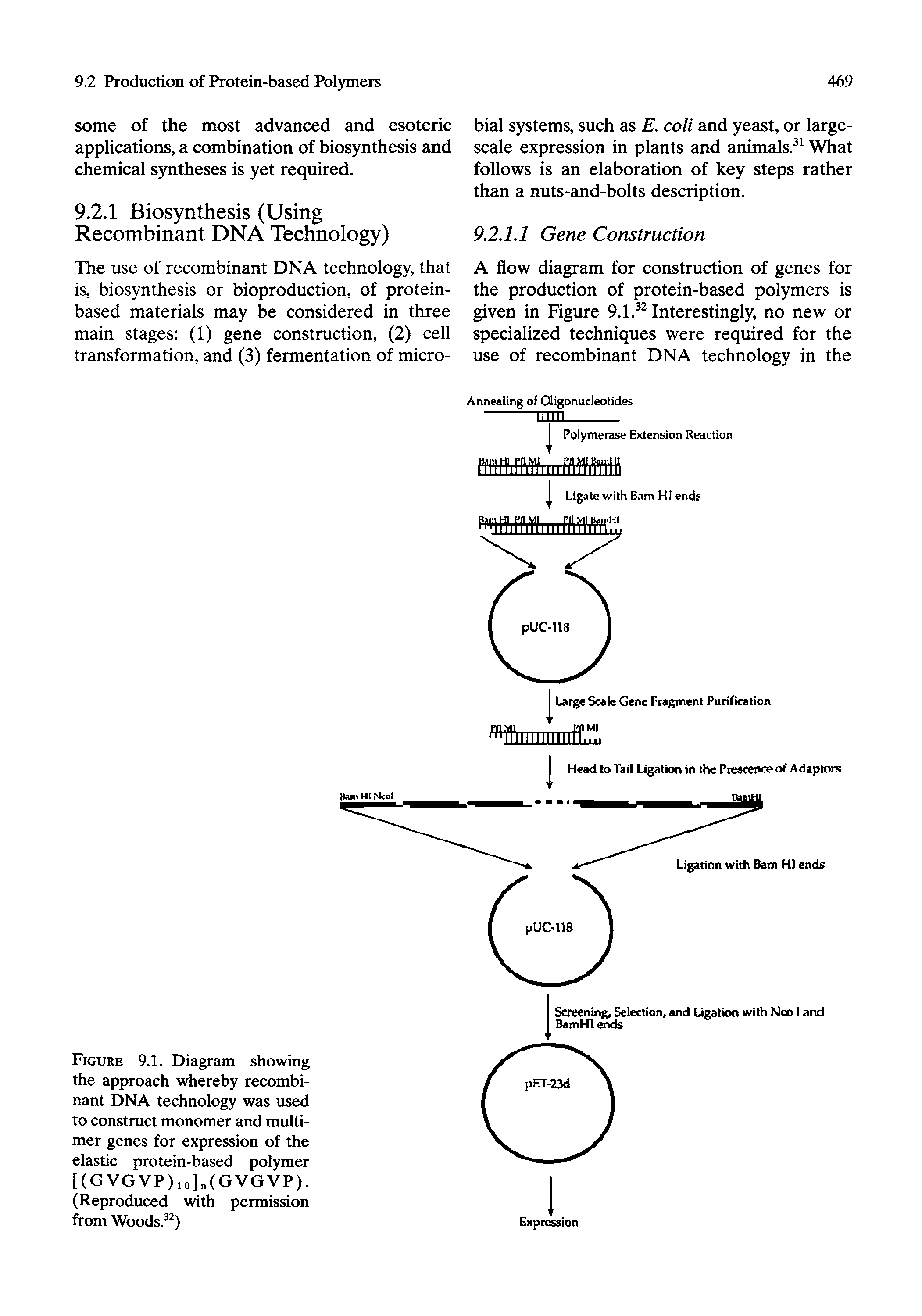 Figure 9.1. Diagram showing the approach whereby recombinant DNA technology was used to construct monomer and multi-mer genes for expression of the elastic protein-based polymer [(GVGVP)io]n(GVGVP). (Reproduced with permission from Woods. )...