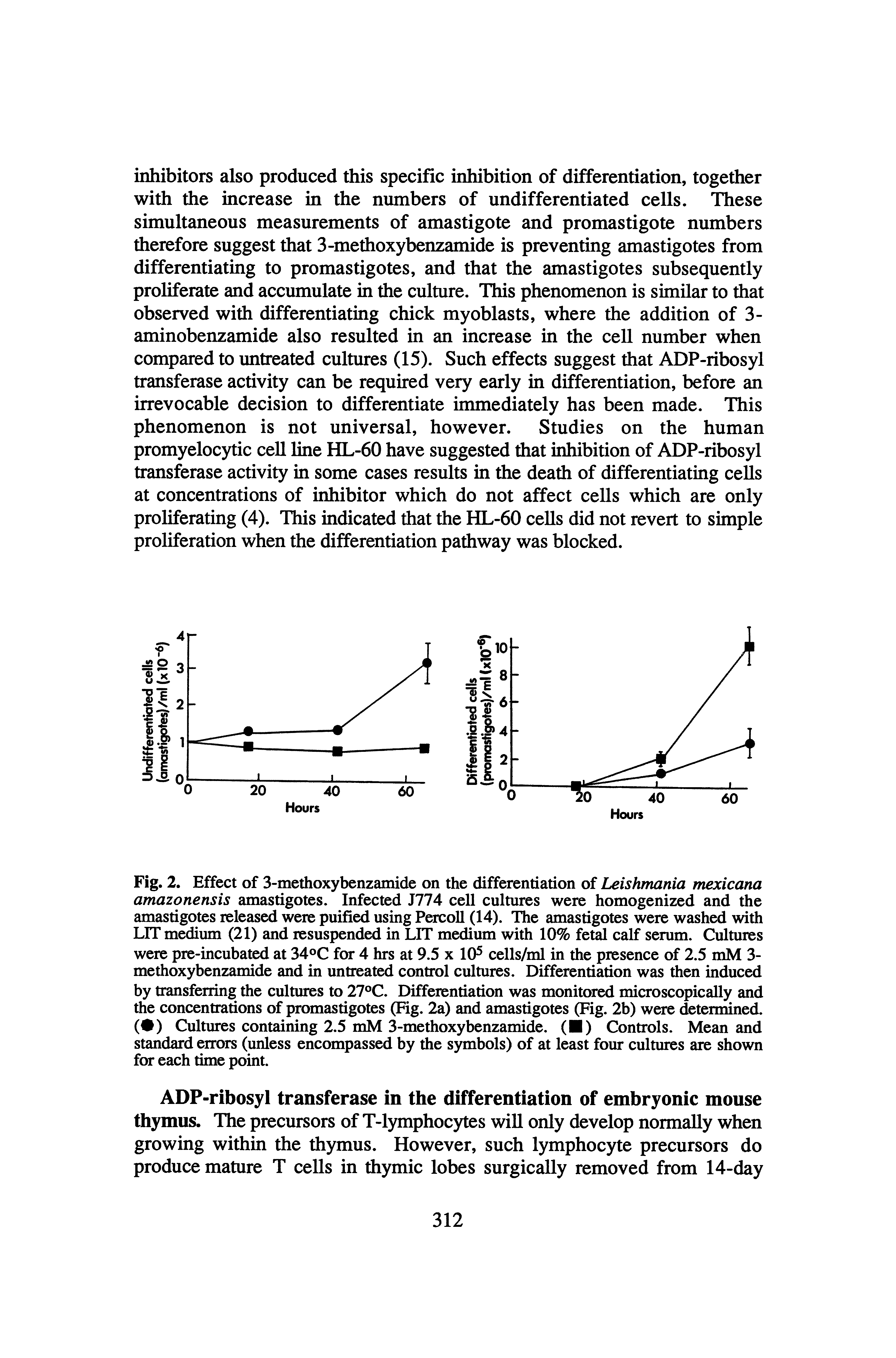 Fig. 2. Effect of 3-methoxybenzamide on the differentiation of Leishmania mexicana amazonensis amastigotes. Infected J774 cell cultures were homogenized and the amastigotes released were puified using PercoU (14). The amastigotes were washed with LIT m um (21) and resuspended in LIT medium with 10% fet calf serum. Cultures were pre-incubated at 34°C for 4 hrs at 9.5 x lO cells/ml in the presence of 2.5 mM 3-methoxybenzamide and in untreated control cultures. Differentiation was then induced by transferring the cultures to 27°C. Differentiation was monitored microscopically and the concentrations of promastigotes (Fig. 2a) and amastigotes (Fig. 2b) were determined. (4) Cultures containing 2.5 mM 3-methoxybenzamide. ( ) Controls. Mean and standard errors (unless encompassed by the symbols) of at least four cultures are shown for each time point.