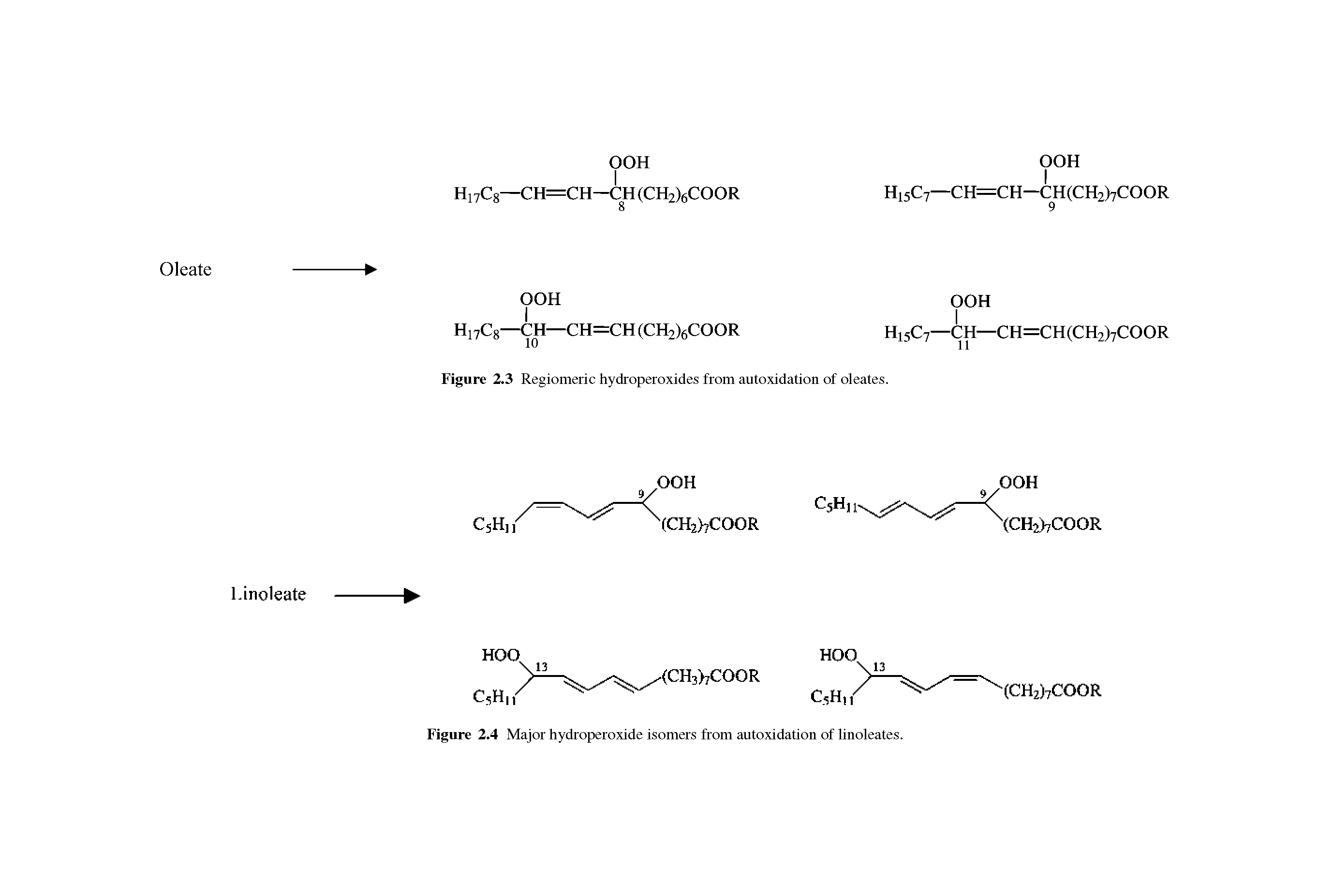 Figure 2.4 Major hydroperoxide isomers from autoxidation of linoleates.