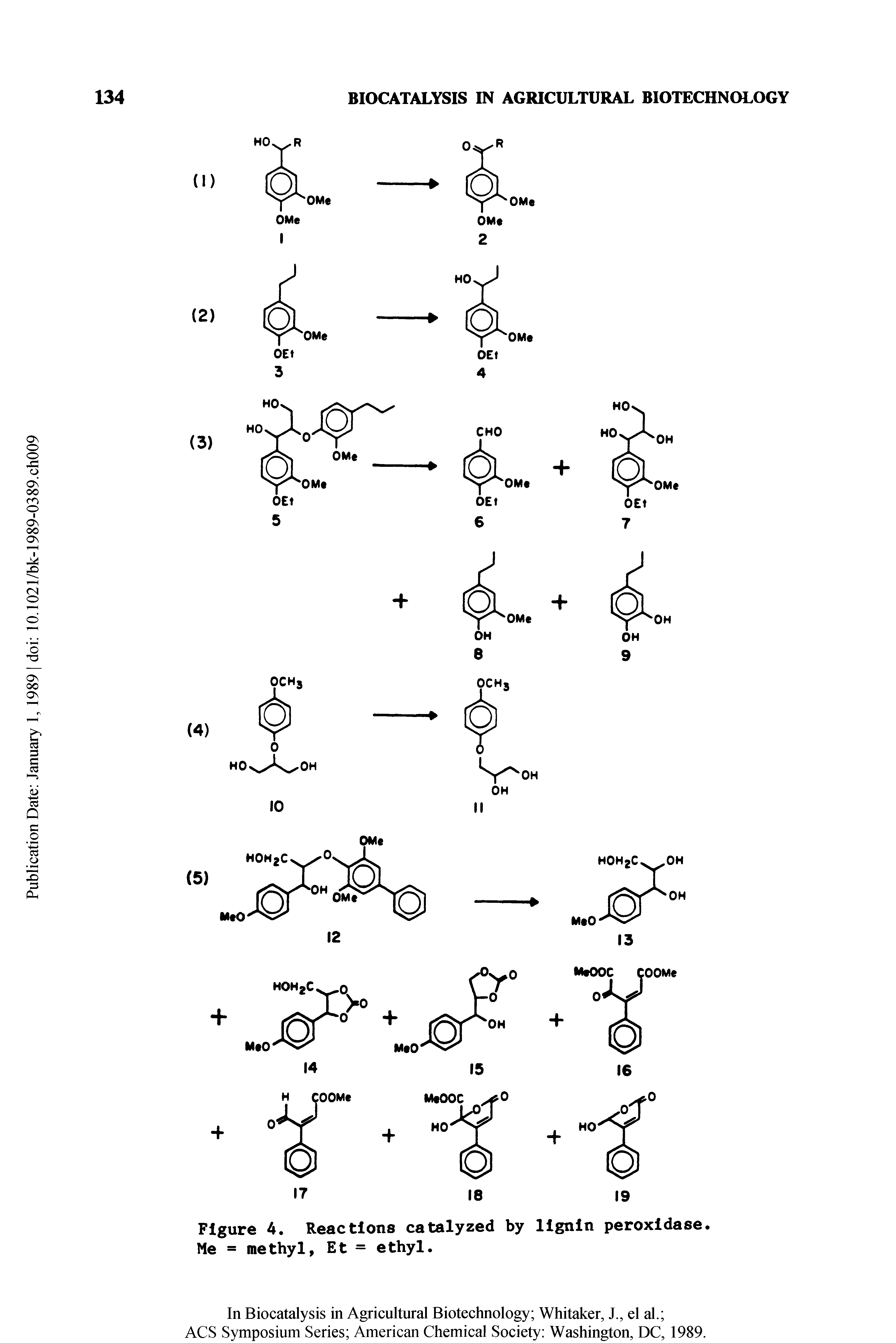 Figure 4. Reactions catalyzed by lignin peroxidase. Me = methyl, Et = ethyl.