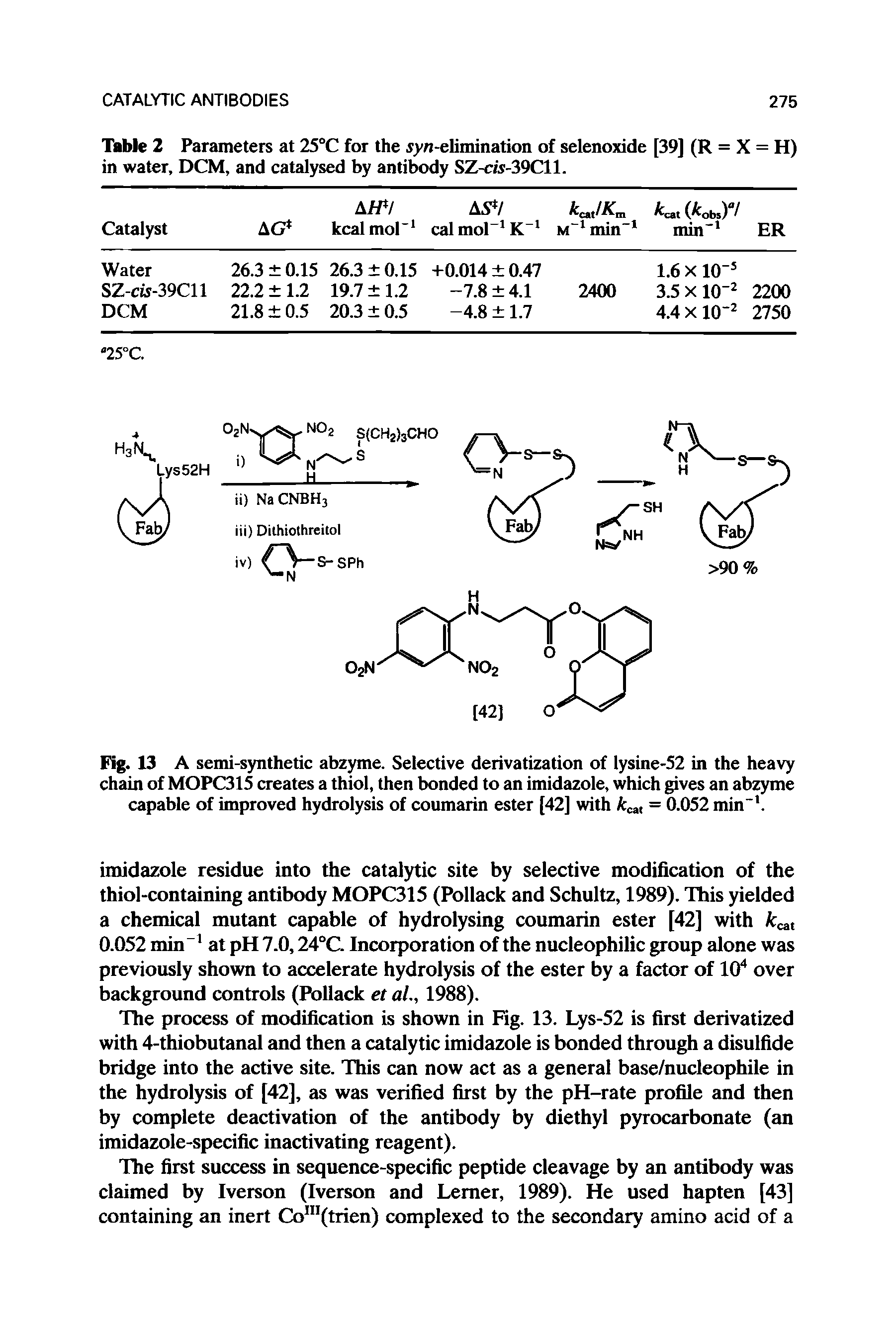 Fig. 13 A semi-synthetic abzyme. Selective derivatization of lysine-52 in the heavy chain of MOPC315 creates a thiol, then bonded to an imidazole, which gives an abzyme capable of improved hydrolysis of coumarin ester [42] with ca, = 0.052 min-1.