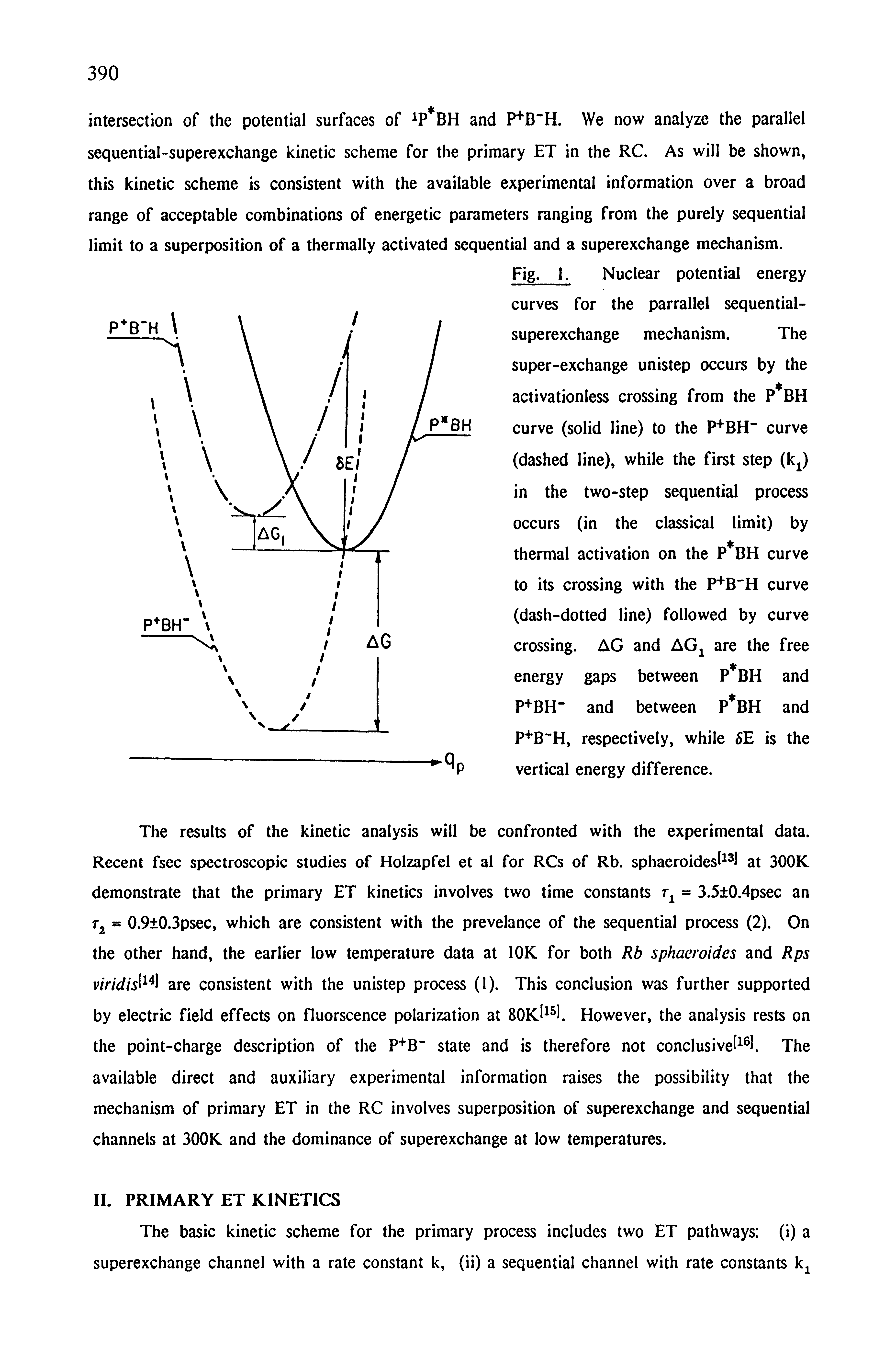 Fig. 1. Nuclear potential energy curves for the parrallel sequential-superexchange mechanism. The super-exchange unistep occurs by the activationless crossing from the P BH curve (solid line) to the P+BH" curve (dashed line), while the first step (k ) in the two-step sequential process occurs (in the classical limit) by thermal activation on the P BH curve to its crossing with the P+B"H curve (dash-dotted line) followed by curve crossing. AG and AG are the free energy gaps between P bh and P+BH" and between P BH and P B H, respectively, while 5E is the vertical energy difference.