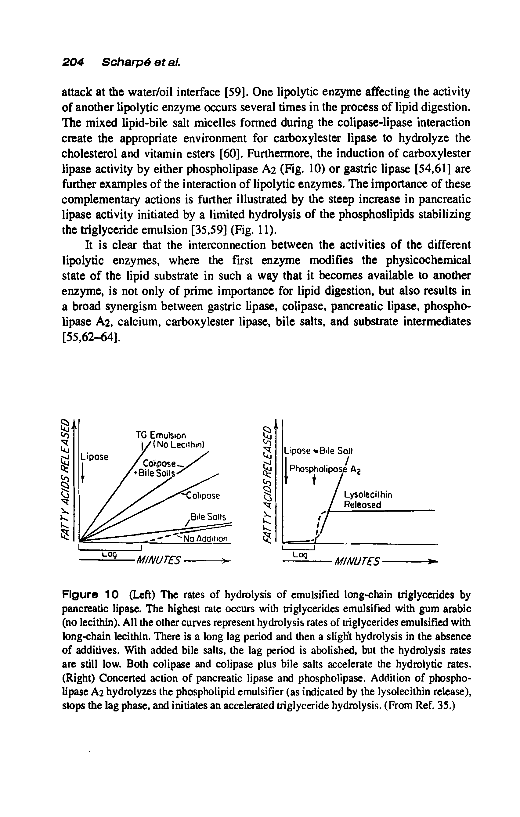 Figure 10 (Left) The rates of hydrolysis of emulsified long-chain triglycerides by pancreatic lipase. The highest rate occurs with triglycerides emulsified with gum arabic (no lecithin). All the other curves represent hydrolysis rates of triglycerides emulsified with long-chain lecithin. There is a long lag period and then a slight hydrolysis in the absence of additives. With added bile salts, the lag period is abolished, but the hydrolysis rates ate still low. Both colipase and colipase plus bile salts accelerate the hydrolytic rates. (Right) Concerted action of pancreatic lipase and phospholipase. Addition of phospholipase A2 hydrolyzes the phospholipid emulsifier (as indicated by the lysolecithin release), stops the lag phase, and initiates an accelerated triglyceride hydrolysis. (From Ref. 35.)...