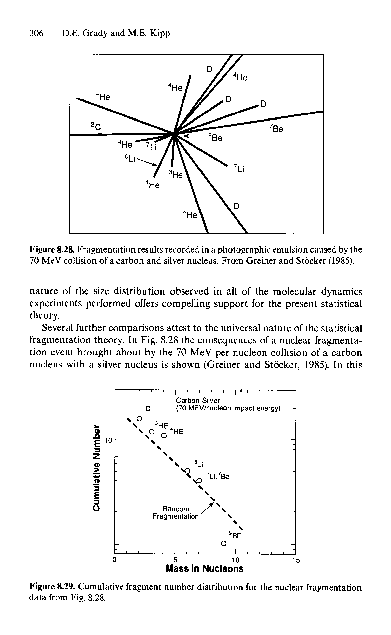 Figure 8.28. Fragmentation results recorded in a photographic emulsion caused by the 70 MeV collision of a carbon and silver nucleus. From Greiner and Stocker (1985).