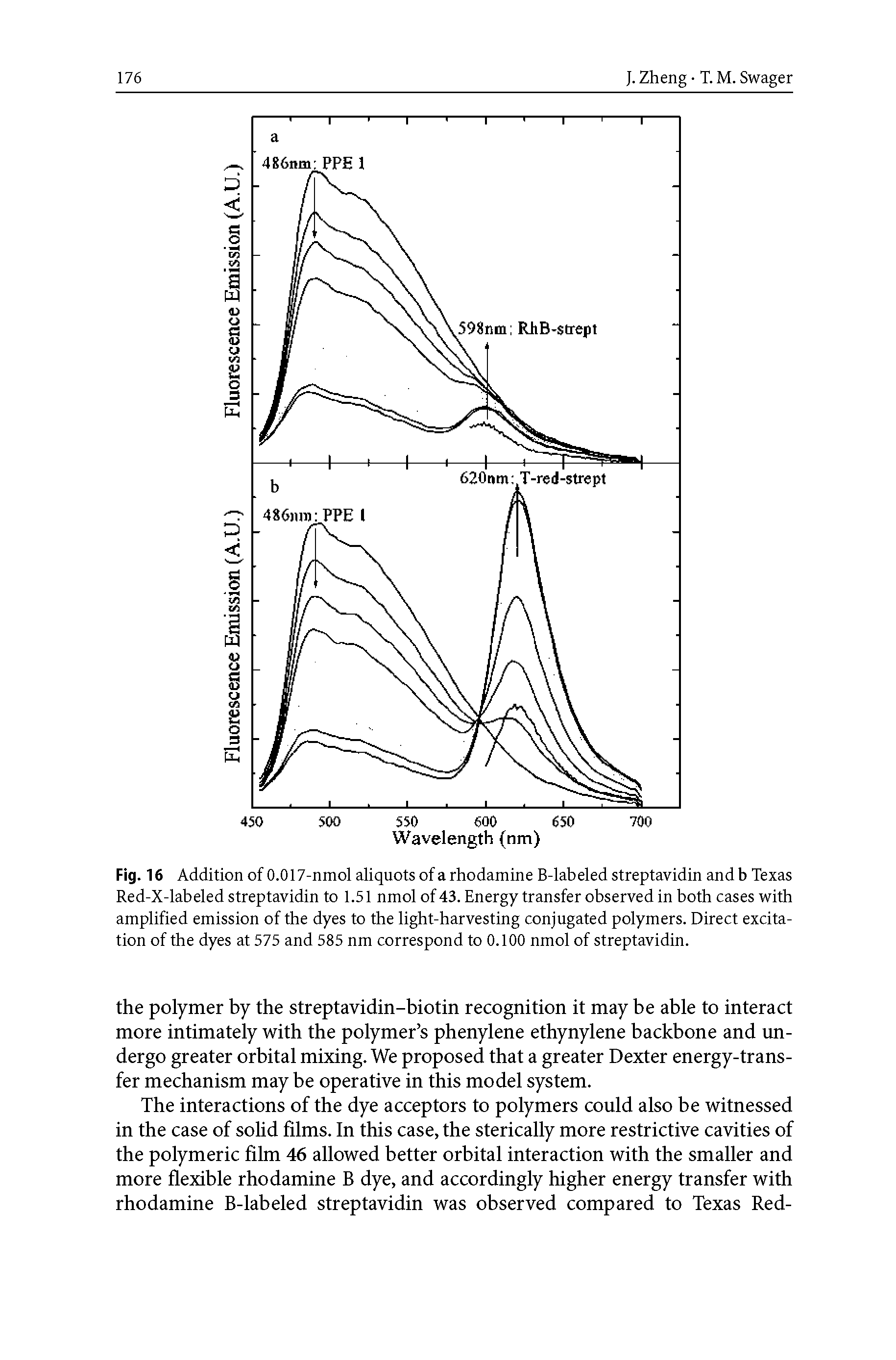 Fig. 16 Addition of 0.017-nmol aliquots of a rhodamine B-labeled streptavidin and b Texas Red-X-labeled streptavidin to 1.51 nmol of 43. Energy transfer observed in both cases with amplified emission of the dyes to the light-harvesting conjugated polymers. Direct excitation of the dyes at 575 and 585 nm correspond to 0.100 nmol of streptavidin.