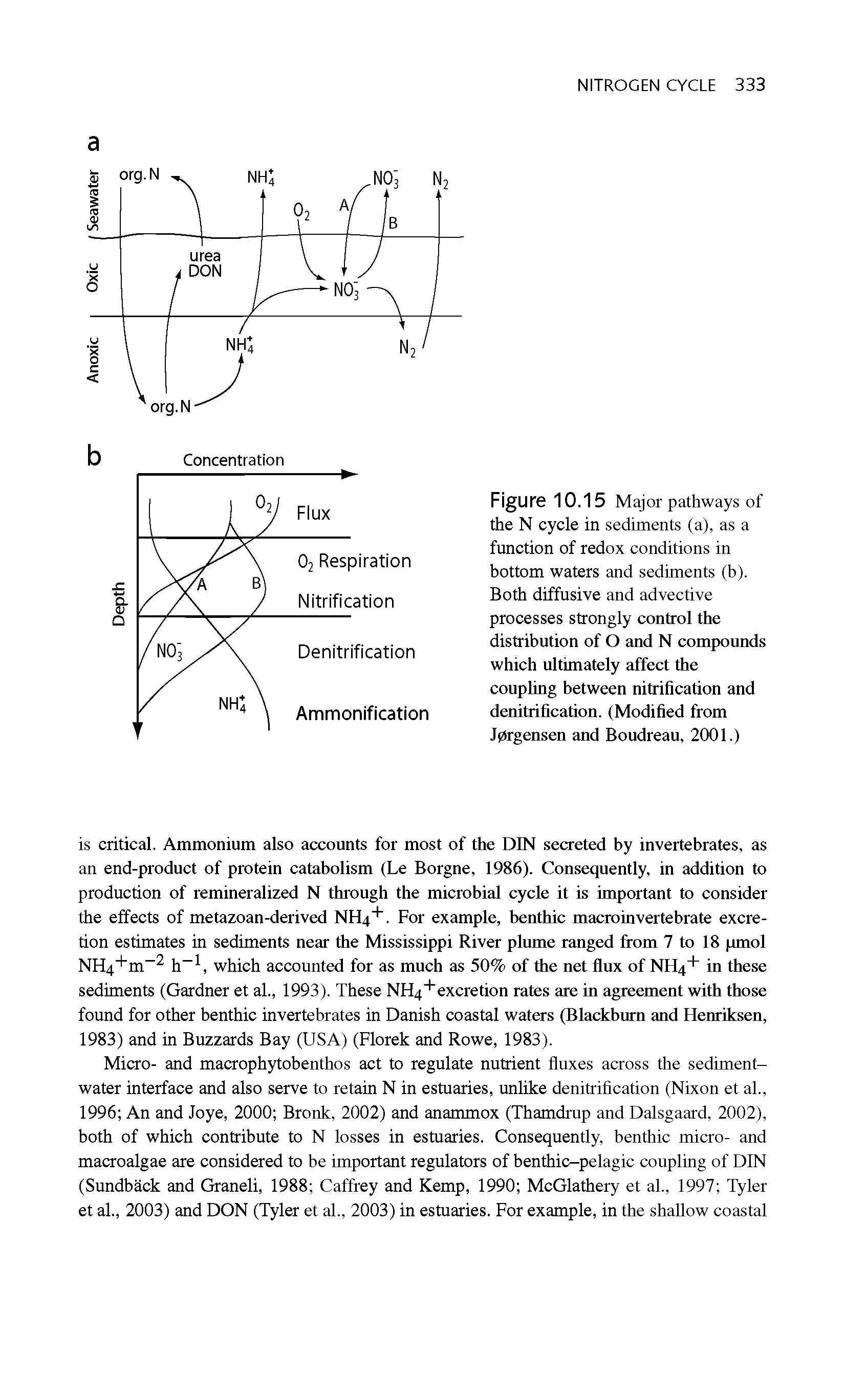 Figure 10.15 Major pathways of the N cycle in sediments (a), as a function of redox conditions in bottom waters and sediments (b). Both diffusive and advective processes strongly control the distribution of O and N compounds which ultimately affect the coupling between nitrification and denitrification. (Modified from Jprgensen and Boudreau, 2001.)...