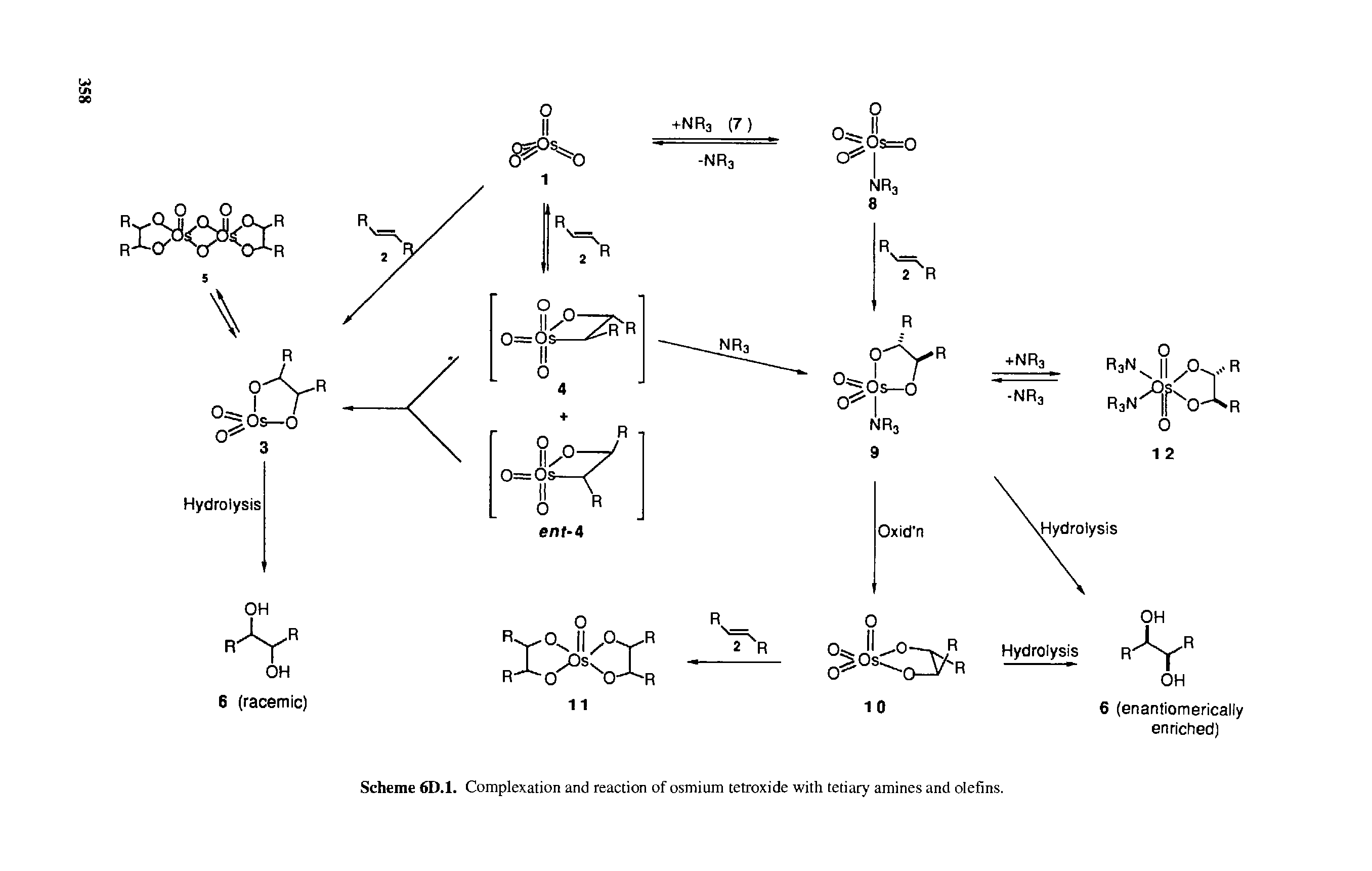 Scheme 6D.1. Complexation and reaction of osmium tetroxide with tetiary amines and olefins.