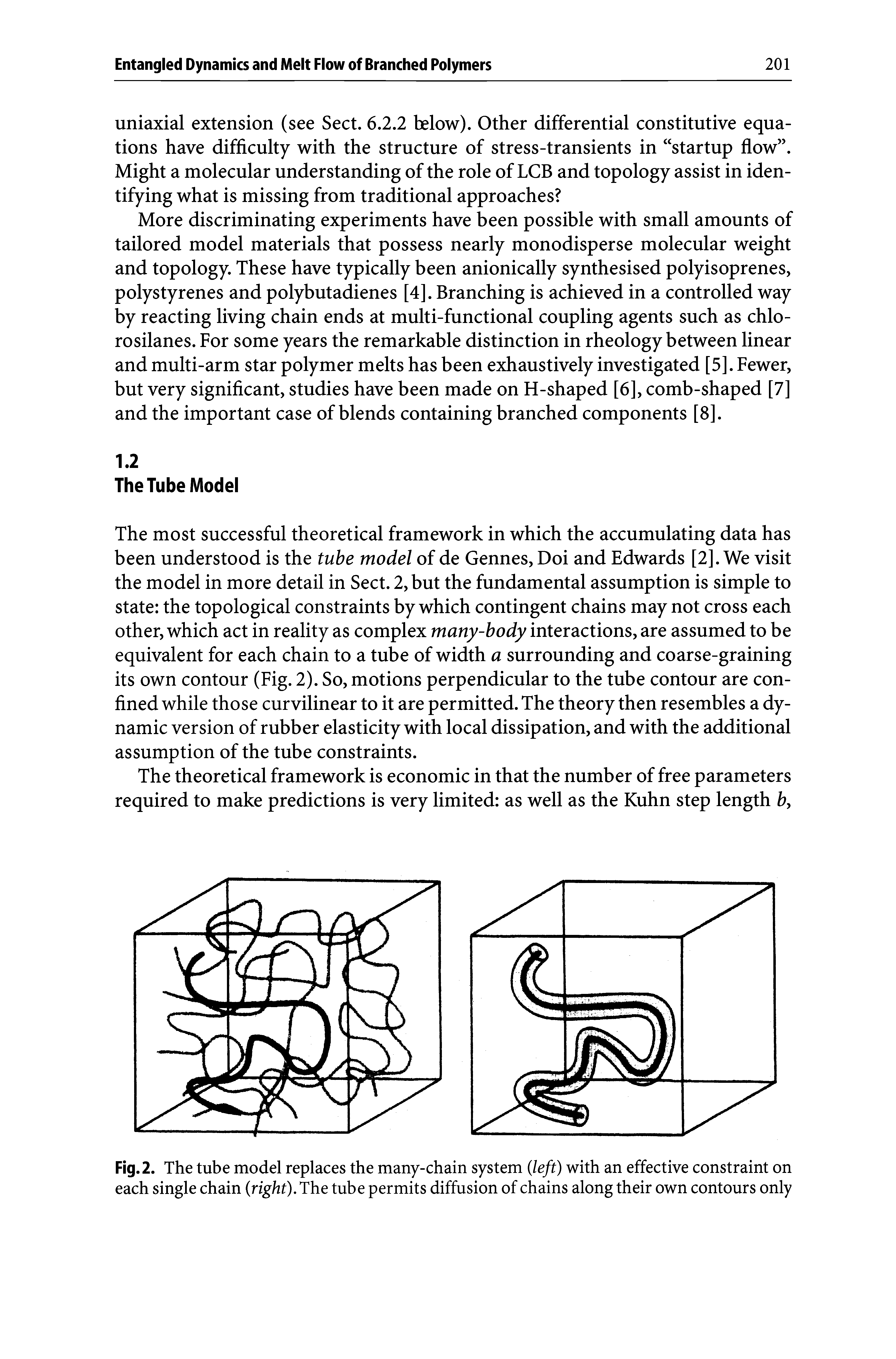 Fig. 2. The tube model replaces the many-chain system left) with an effective constraint on each single chain right). The tube permits diffusion of chains along their own contours only...