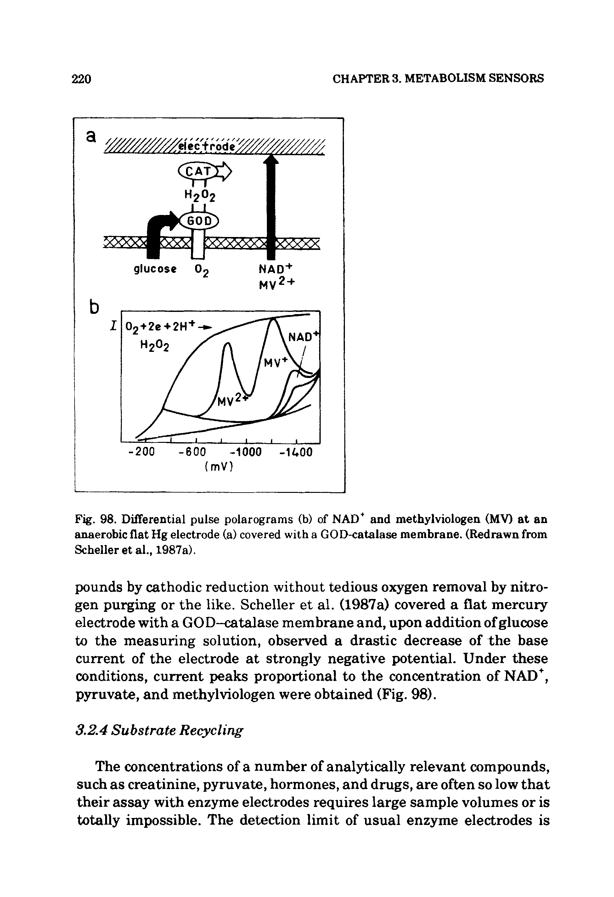 Fig. 98. Differential pulse polarograms (b) of NAD and methylviologen (MV) at an anaerobic flat Hg electrode (a) covered with a GOD-catalase membrane. (Redrawn from Scheller et al., 1987a).