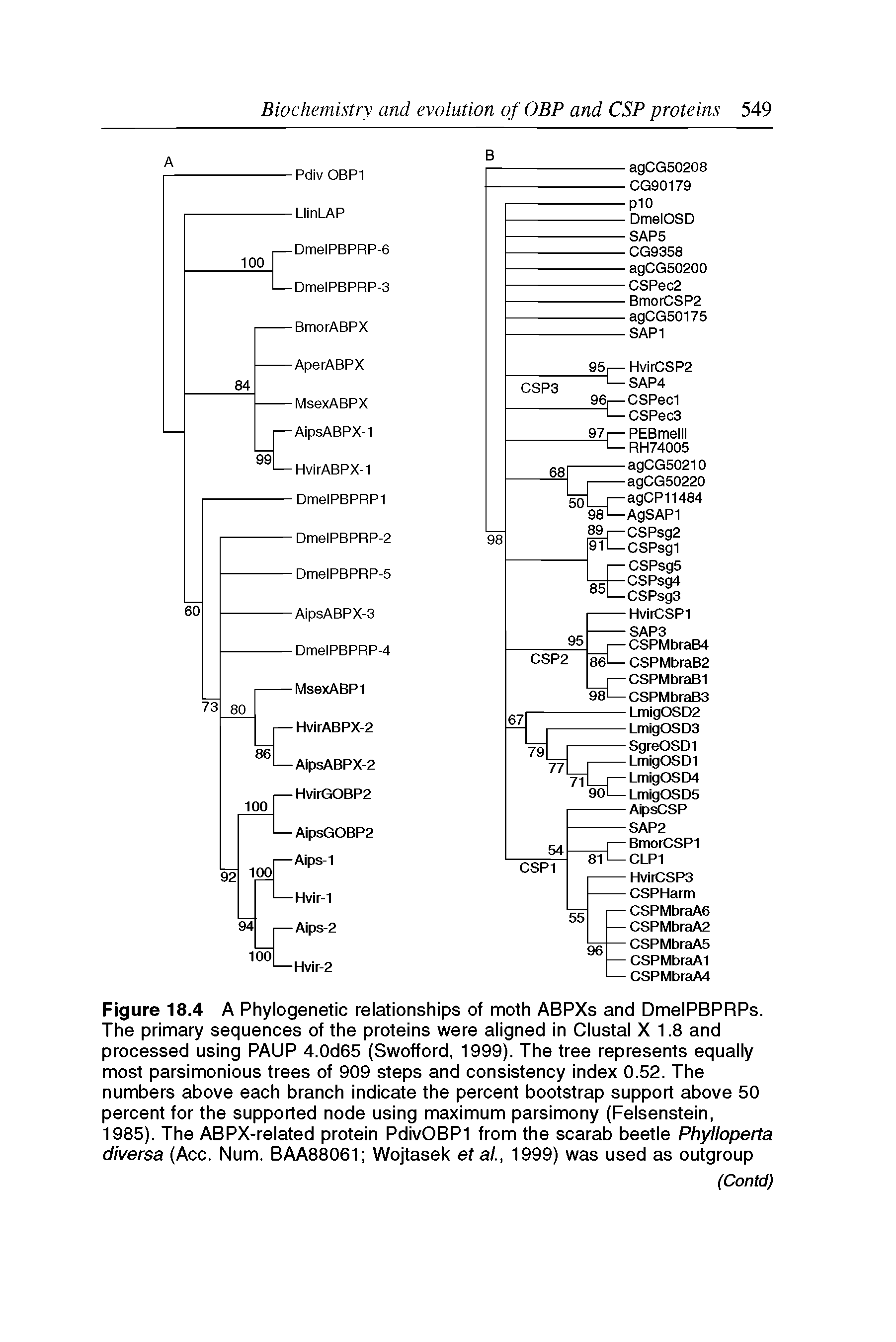 Figure 18.4 A Phylogenetic relationships of moth ABPXs and DmeIPBPRPs. The primary sequences of the proteins were aligned in Clustal X 1.8 and processed using PAUP 4.0d65 (Swofford, 1999). The tree represents equally most parsimonious trees of 909 steps and consistency index 0.52. The numbers above each branch indicate the percent bootstrap support above 50 percent for the supported node using maximum parsimony (Felsenstein,...