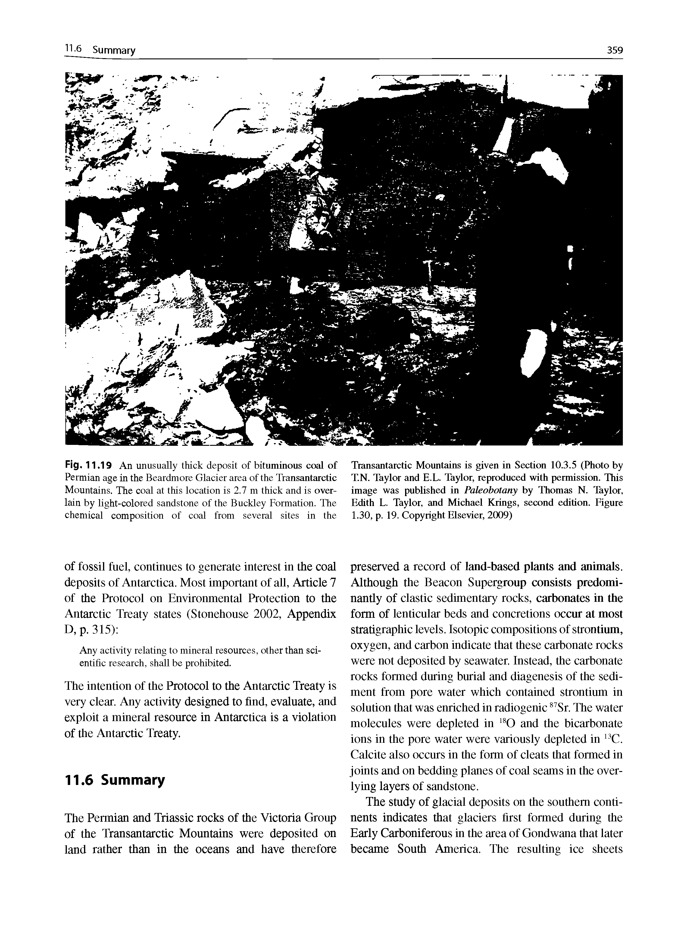 Fig. 11.19 An unusually thick deposit of bituminous coal of Permian age in the Beardmore Glacier area of the Transantarctic Mountains. The coal at this location is 2.7 m thick and is over-lain by light-colored sandstone of the Buckley Formation. The chemical composition of coal from several sites in the...