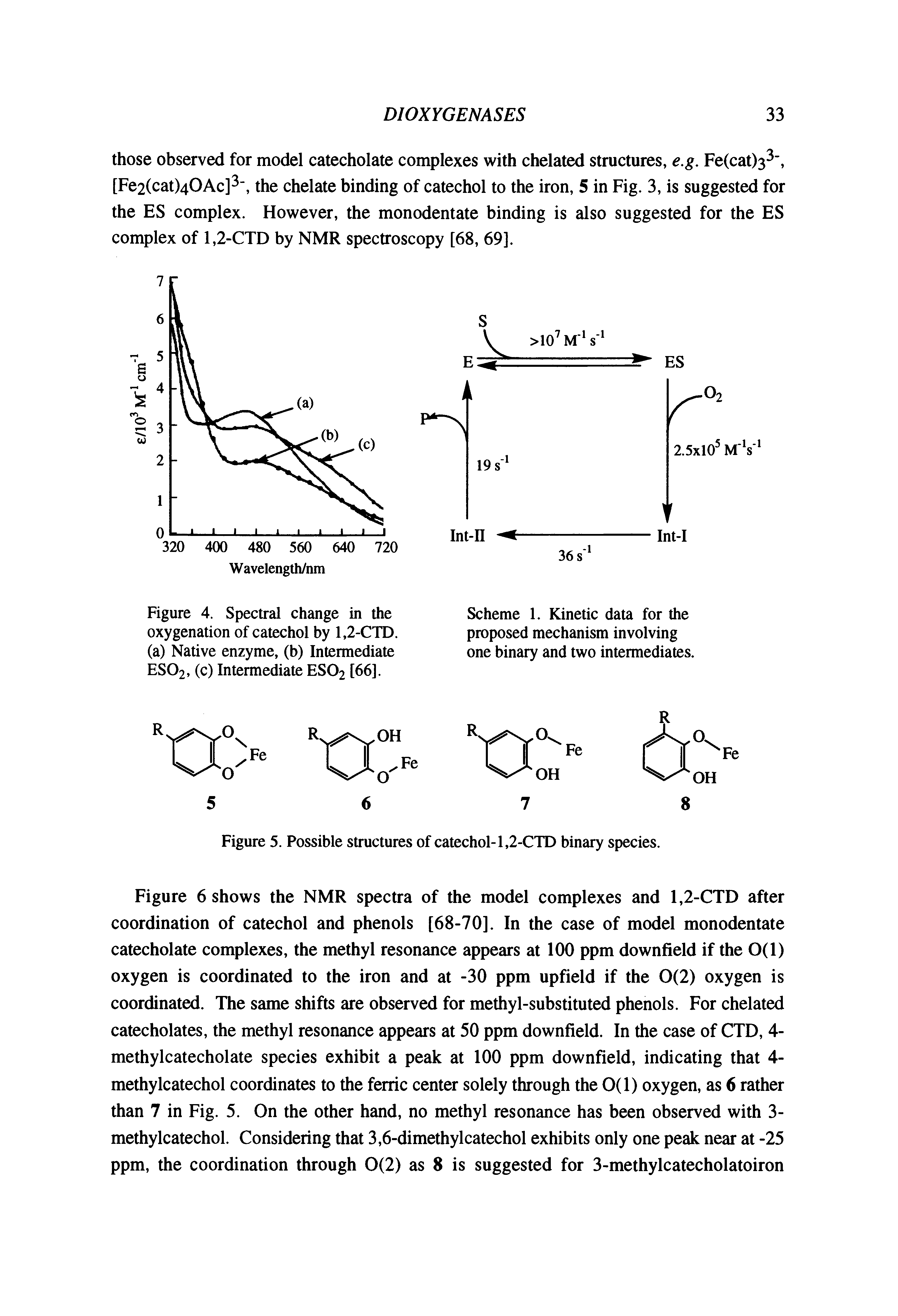 Figure 6 shows the NMR spectra of the model complexes and 1,2-CTD after coordination of catechol and phenols [68-70]. In the case of model monodentate catecholate complexes, the methyl resonance appears at 100 ppm downfield if the 0(1) oxygen is coordinated to the iron and at -30 ppm upfield if the 0(2) oxygen is coordinated. The same shifts are observed for methyl-substituted phenols. For chelated catecholates, the methyl resonance appears at 50 ppm downfield. In the case of CTD, 4-methylcatecholate species exhibit a peak at 100 ppm downfield, indicating that 4-methylcatechol coordinates to the ferric center solely through the 0(1) oxygen, as 6 rather than 7 in Fig. 5. On the other hand, no methyl resonance has been observed with 3-methylcatechol. Considering that 3,6-dimethylcatechol exhibits only one peak near at -25 ppm, the coordination through 0(2) as 8 is suggested for 3-methylcatecholatoiron...