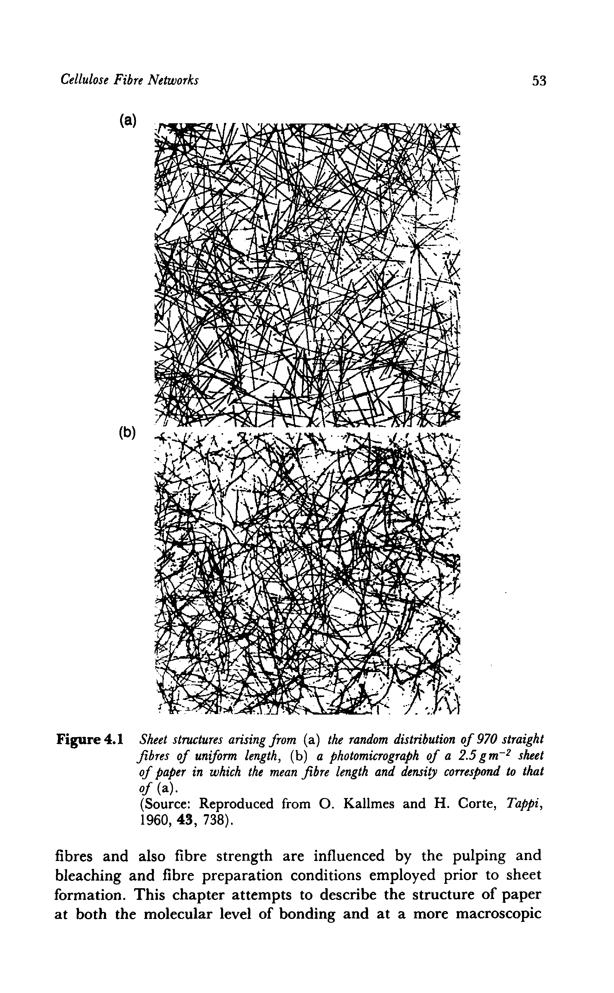 Figure 4.1 Sheet structures arising from (a) the random distribution of 970 straight fibres of uniform length, (b) a photomicrograph of a 2.5gmr2 sheet of paper in which the mean fibre length and density correspond to that...