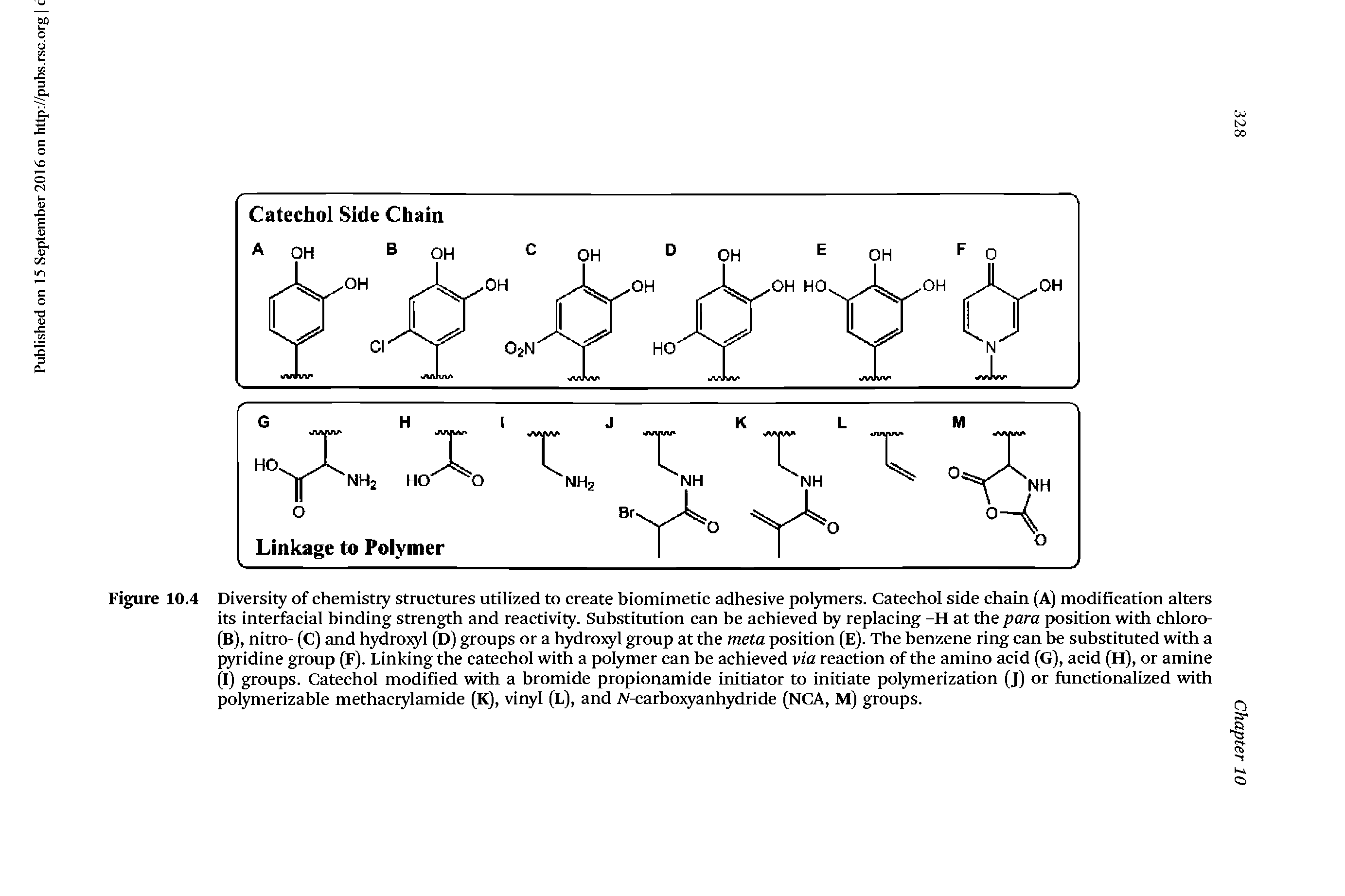 Figure 10.4 Diversity of chemistiy structures utilized to create biomimetic adhesive polymers. Catechol side chain (A) modification alters its interfacial binding strength and reactivity. Substitution can be achieved by replacing -H at the para position with chloro-(B), nitro- (C) and hydrojyl (D) groups or a hydro)yl group at the meta position (E). The benzene ring can be substituted with a pyridine group (F). Linking the catechol with a polymer can be achieved via reaction of the amino acid (G), acid (H), or amine (I) groups. Catechol modified with a bromide propionamide Initiator to initiate polymerization (J) or functionalized with polymerizable methacrylamide (K), vinyl (L), and M-carboxyanhydride (NCA, M) groups.