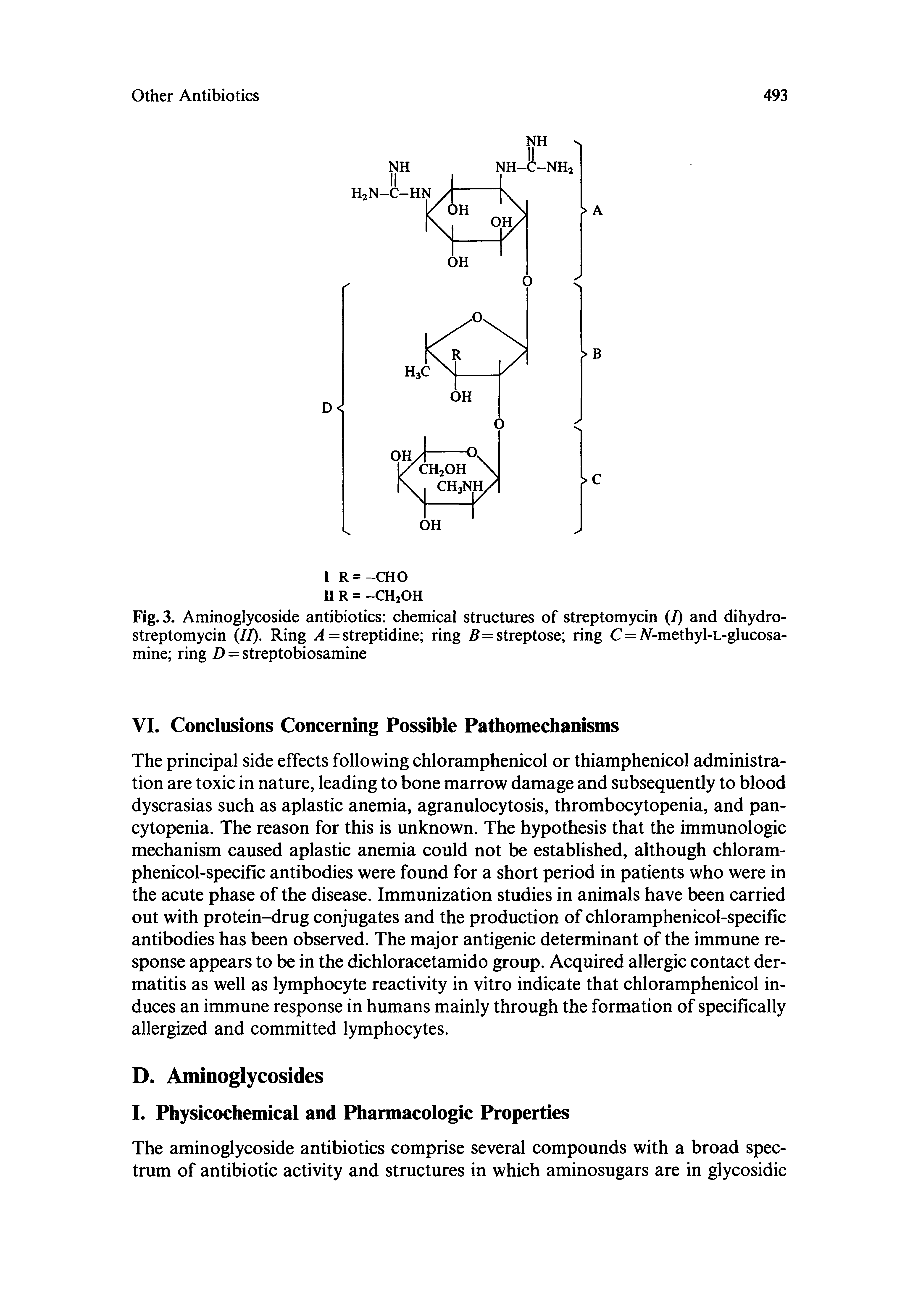 Fig. 3. Aminoglycoside antibiotics chemical structures of streptomycin (/) and dihydrostreptomycin (//). Ring = streptidine ring 5=streptose ring C=iV-methyl-L-glucosa-mine ring D = streptobiosamine...