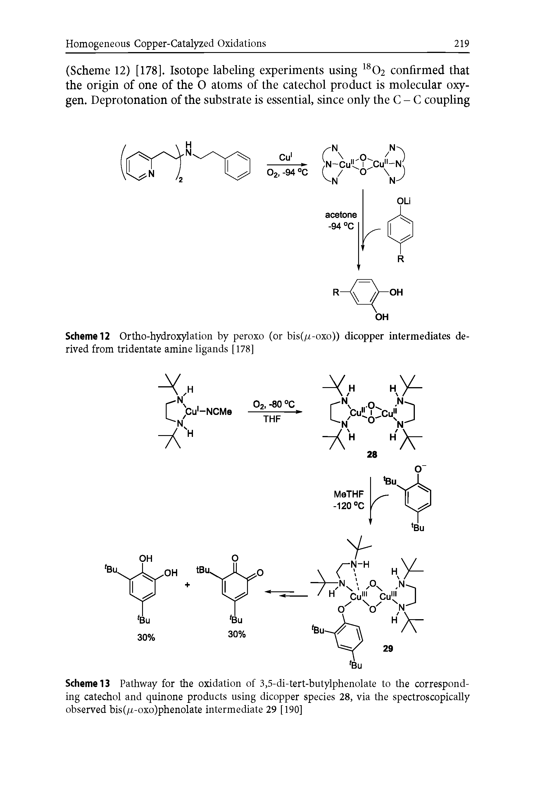 Scheme 12 Ortho-hydroxylation by peroxo (or bis(/x-oxo)) dicopper intermediates derived from tridentate amine ligands [178]...