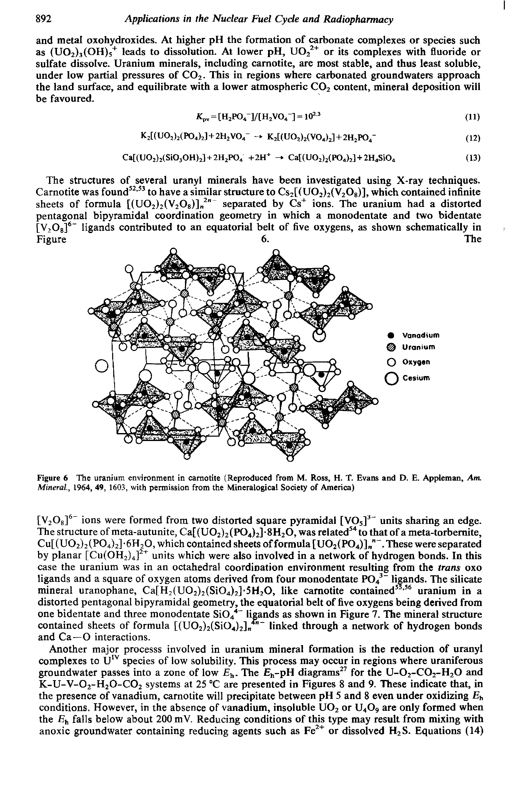 Figure 6 The uranium environment in camotite (Reproduced from M. Ross, H. T. Evans and D. E. Appleman, Am. Mineral., 1964, 49, 1603, with permission from the Mineralogical Society of America)...
