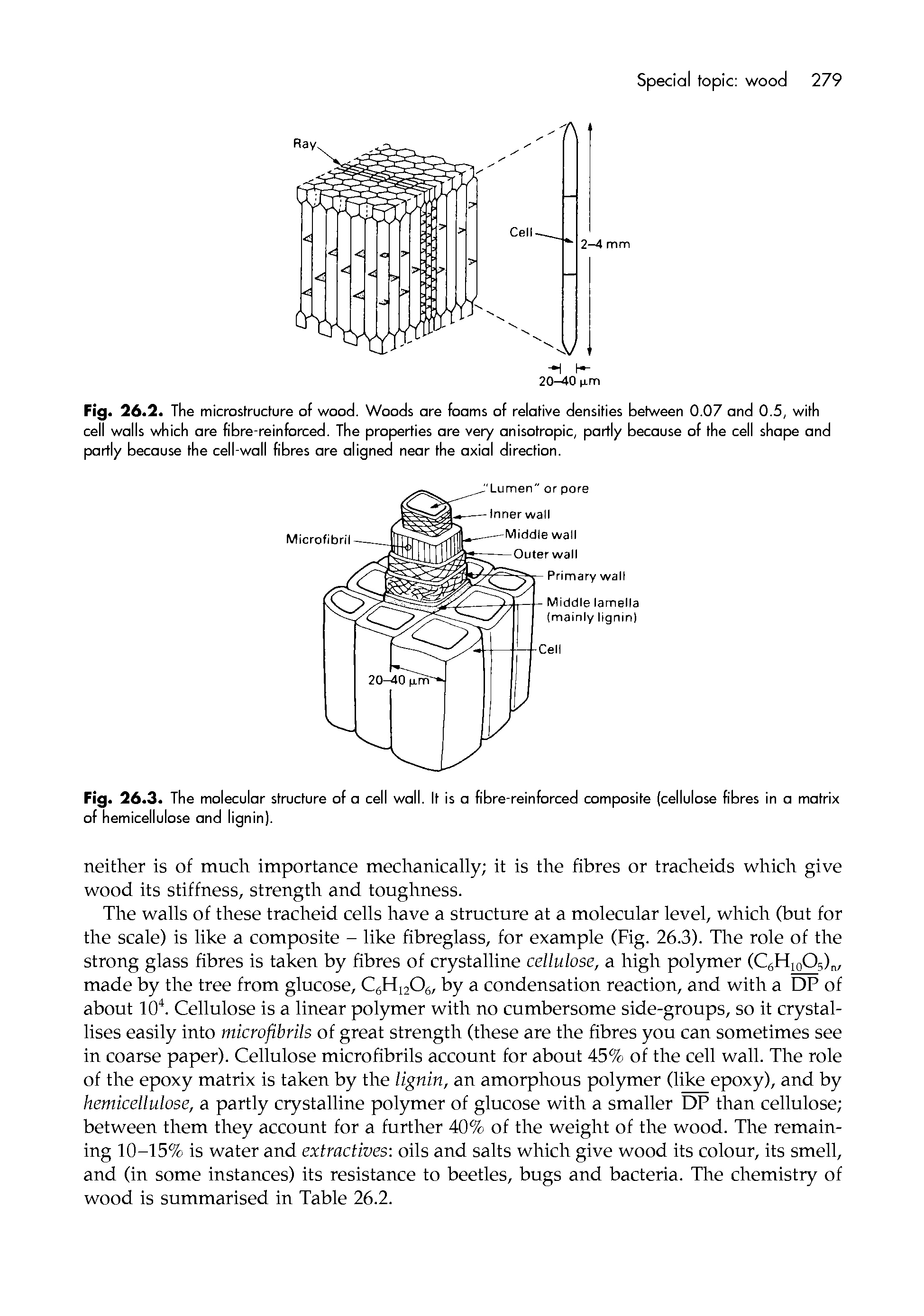 Fig. 26.2. The microstructure of wood. Woods ore foams of relative densities between 0.07 and 0.5, with cell walls which ore fibre-reinforced. The properties ore very anisotropic, partly because of the cell shape and partly because the cell-wall fibres ore aligned near the axial direction.