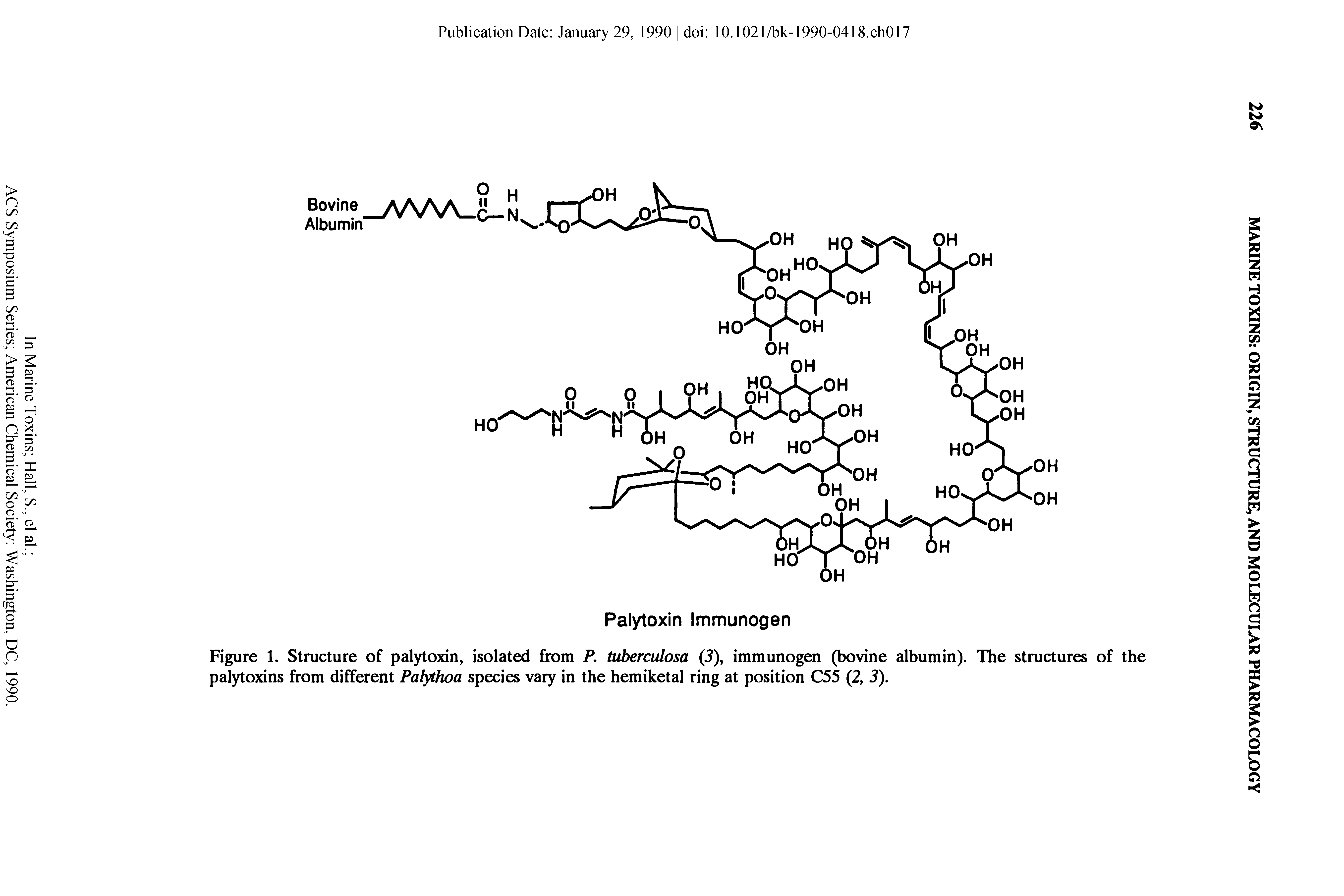 Figure 1. Structure of palytoxin, isolated from P, tuberculosa (3), immunogen (bovine albumin). The structures of the palytoxins from different Palythoa species vary in the hemiketal ring at position C55 (2, 3).