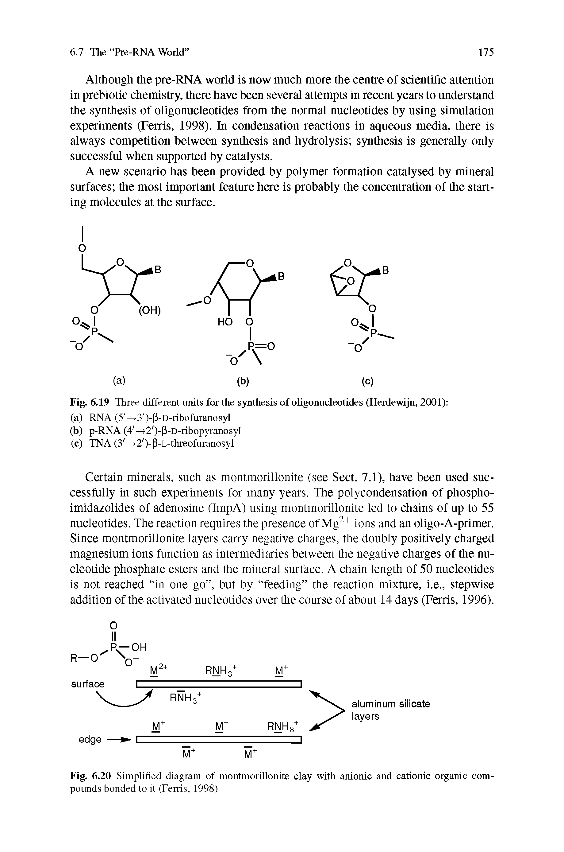 Fig. 6.20 Simplified diagram of montmorillonite clay with anionic and cationic organic compounds bonded to it (Ferris, 1998)...