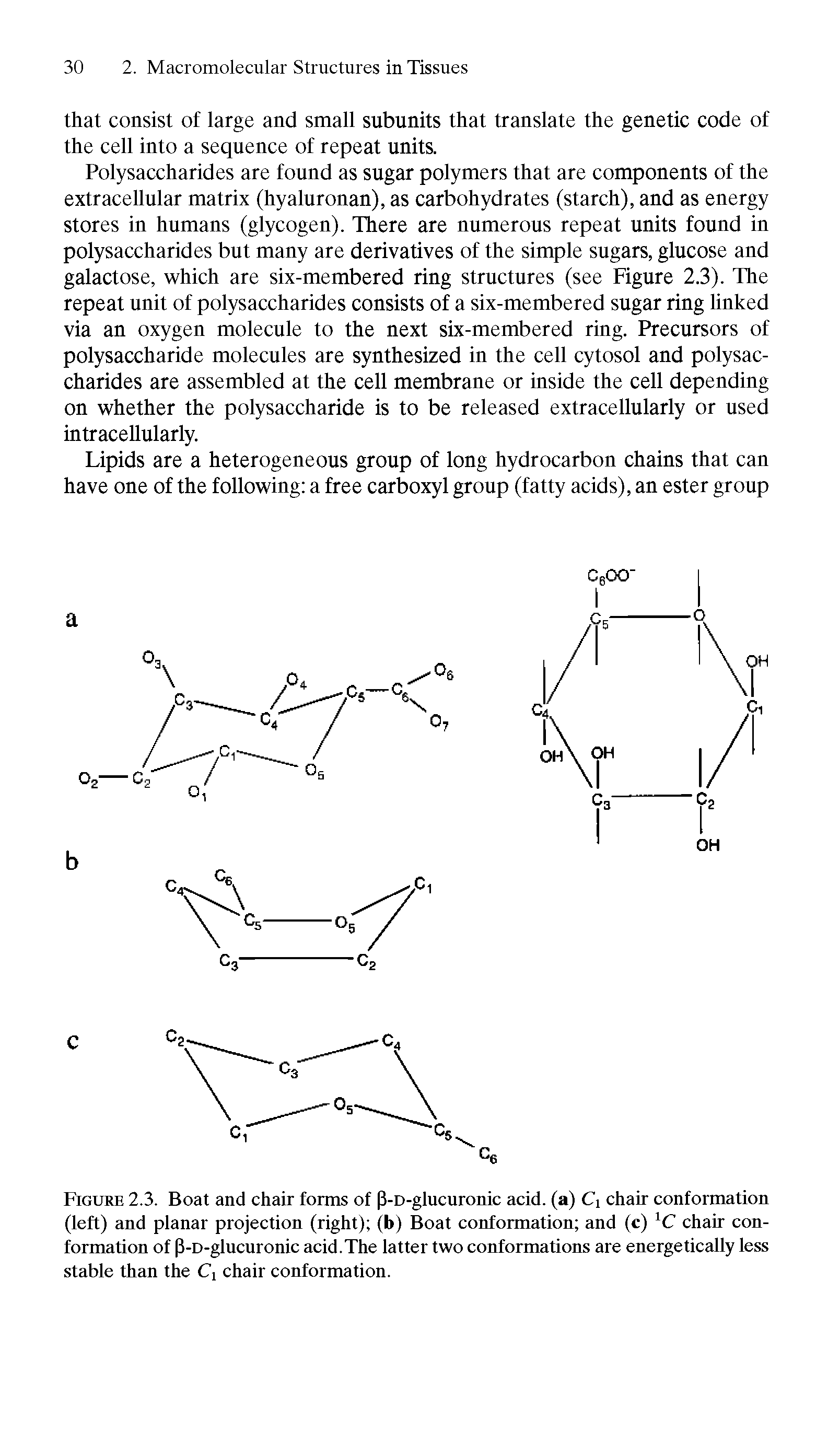 Figure 2.3. Boat and chair forms of P-D-glucuronic acid, (a) Cj chair conformation (left) and planar projection (right) (b) Boat conformation and (c) 1C chair conformation of P-D-glucuronic acid.The latter two conformations are energetically less stable than the Ci chair conformation.