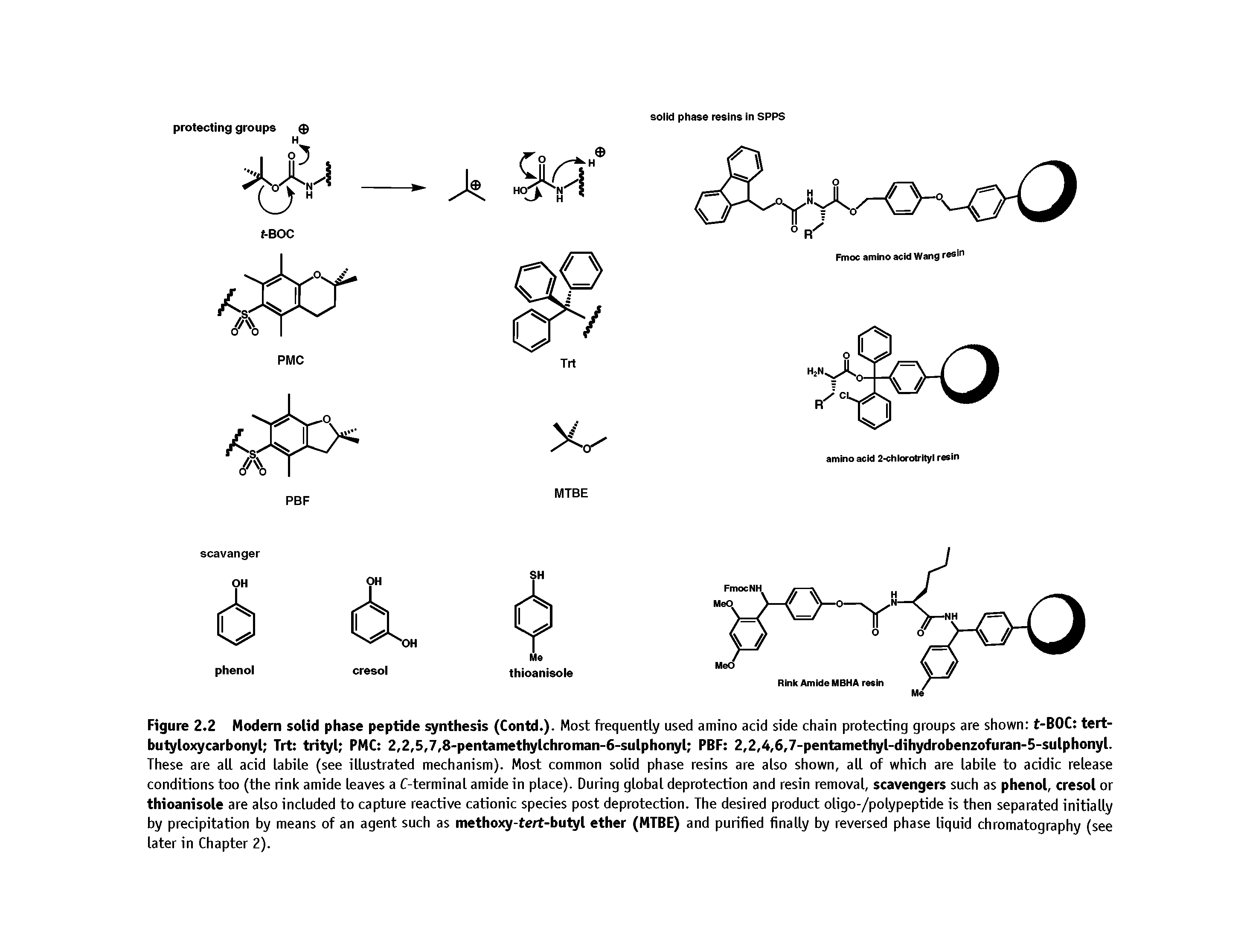 Figure 2.2 Modem solid phase peptide synthesis (Contd.). Most frequently used amino add side chain protecting groups are shown t-BOC tert-bulyloxycarbonyl Trt trityl PMC 2,2,5,7,8-pentamethylchroman-6-sulphonyl PBF 2,2,4,6,7-pentamethyl-dihydrobenzofuran-5-sulphonyl.