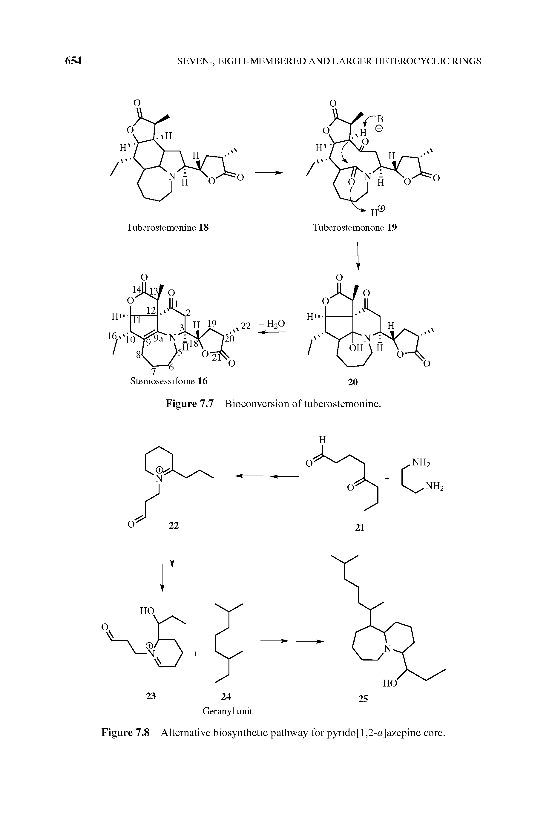 Figure 7.8 Alternative biosynthetic pathway for pyrido[l,2-a]azepine core.