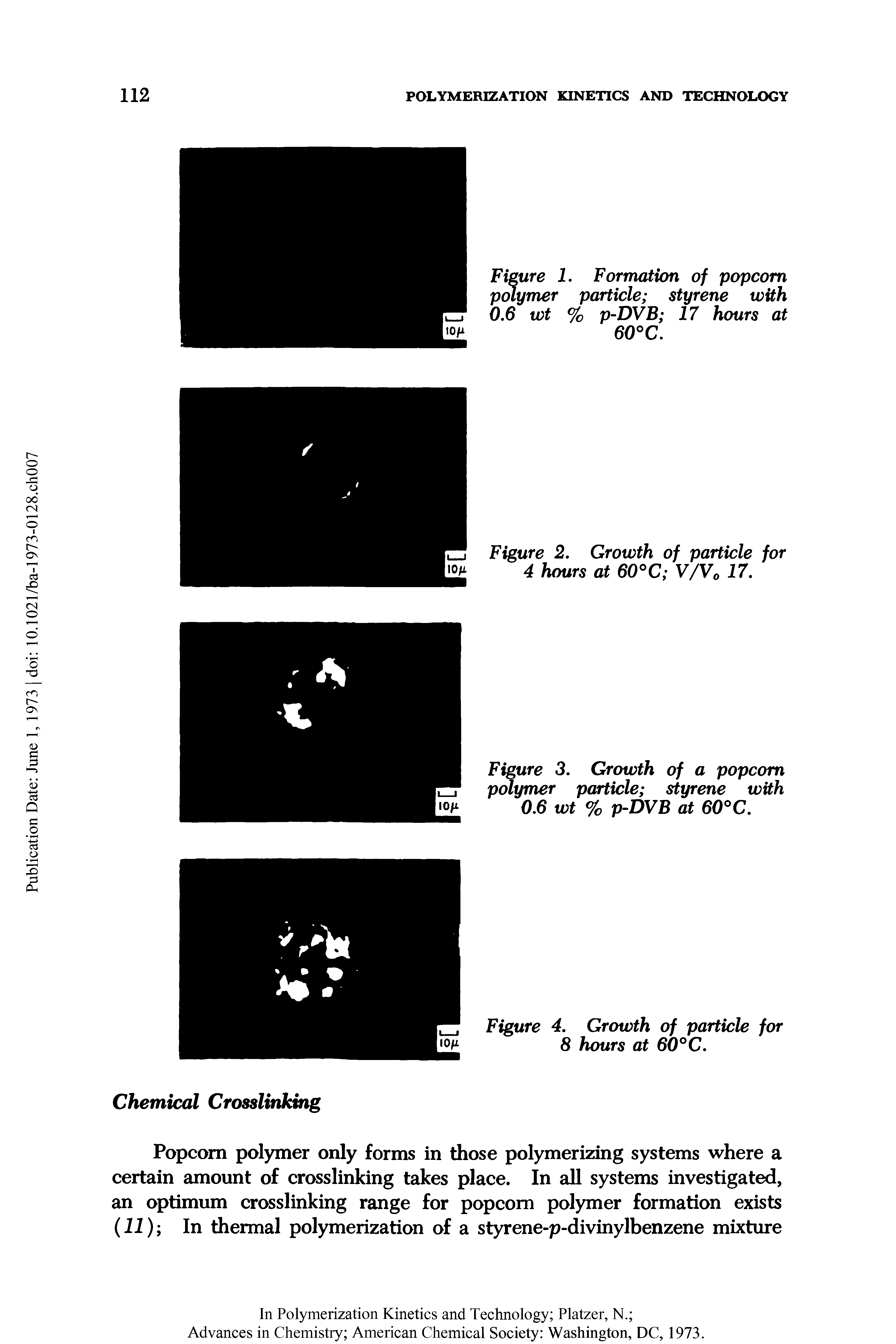 Figure 1. Formation of popcorn polymer particle styrene with 0.6 wt % p-DVB 17 hours at 60°C.