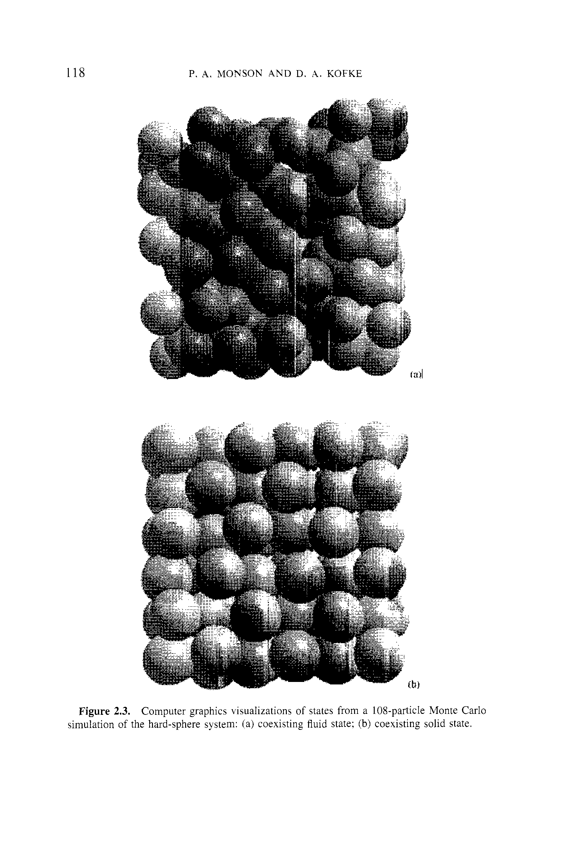 Figure 2.3. Computer graphics visualizations of states from a 108-particIe Monte Carlo simulation of the hard-sphere system (a) coexisting fluid state (b) coexisting solid state.