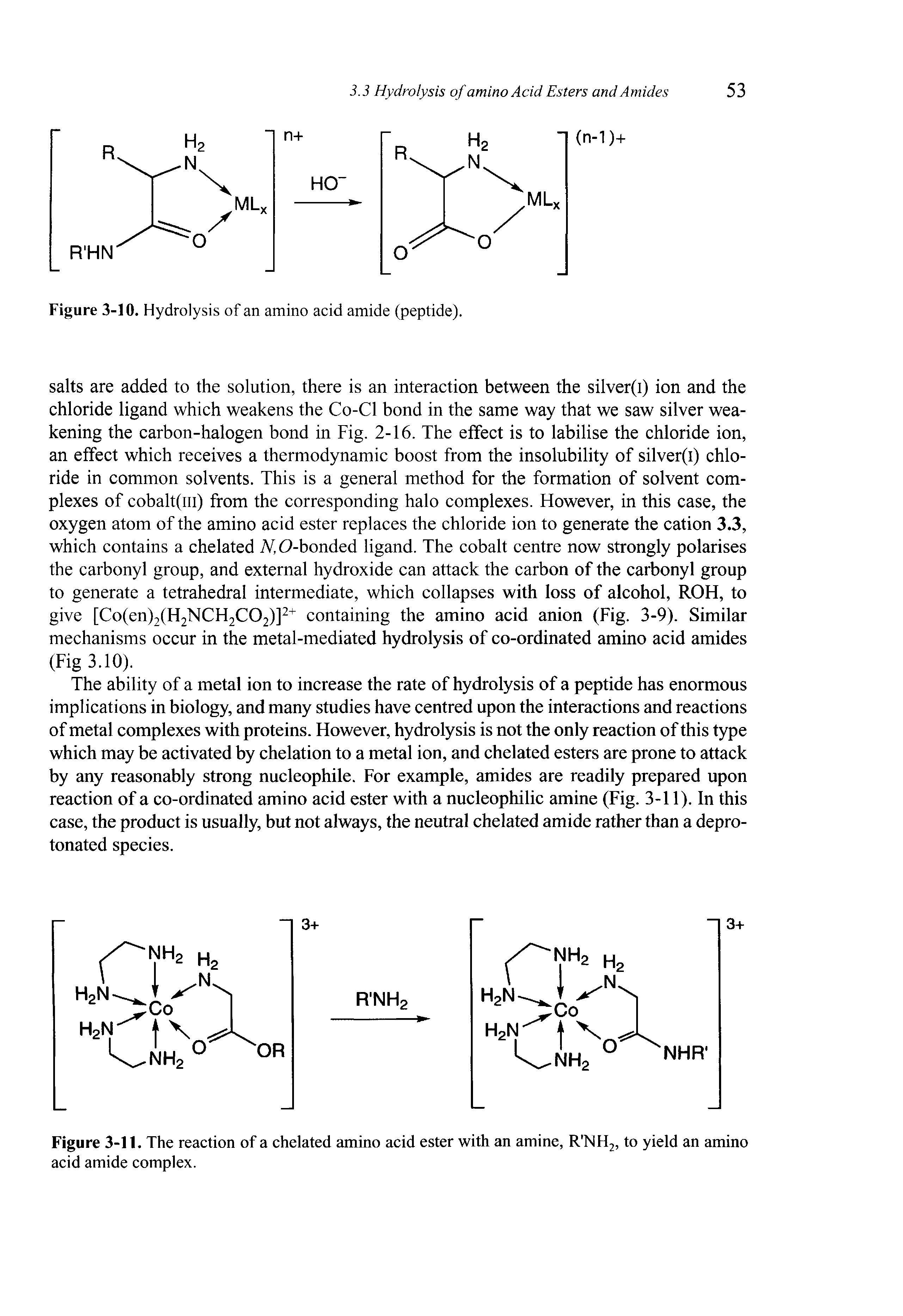 Figure 3-11. The reaction of a chelated amino acid ester with an amine, R NH2, to yield an amino acid amide complex.