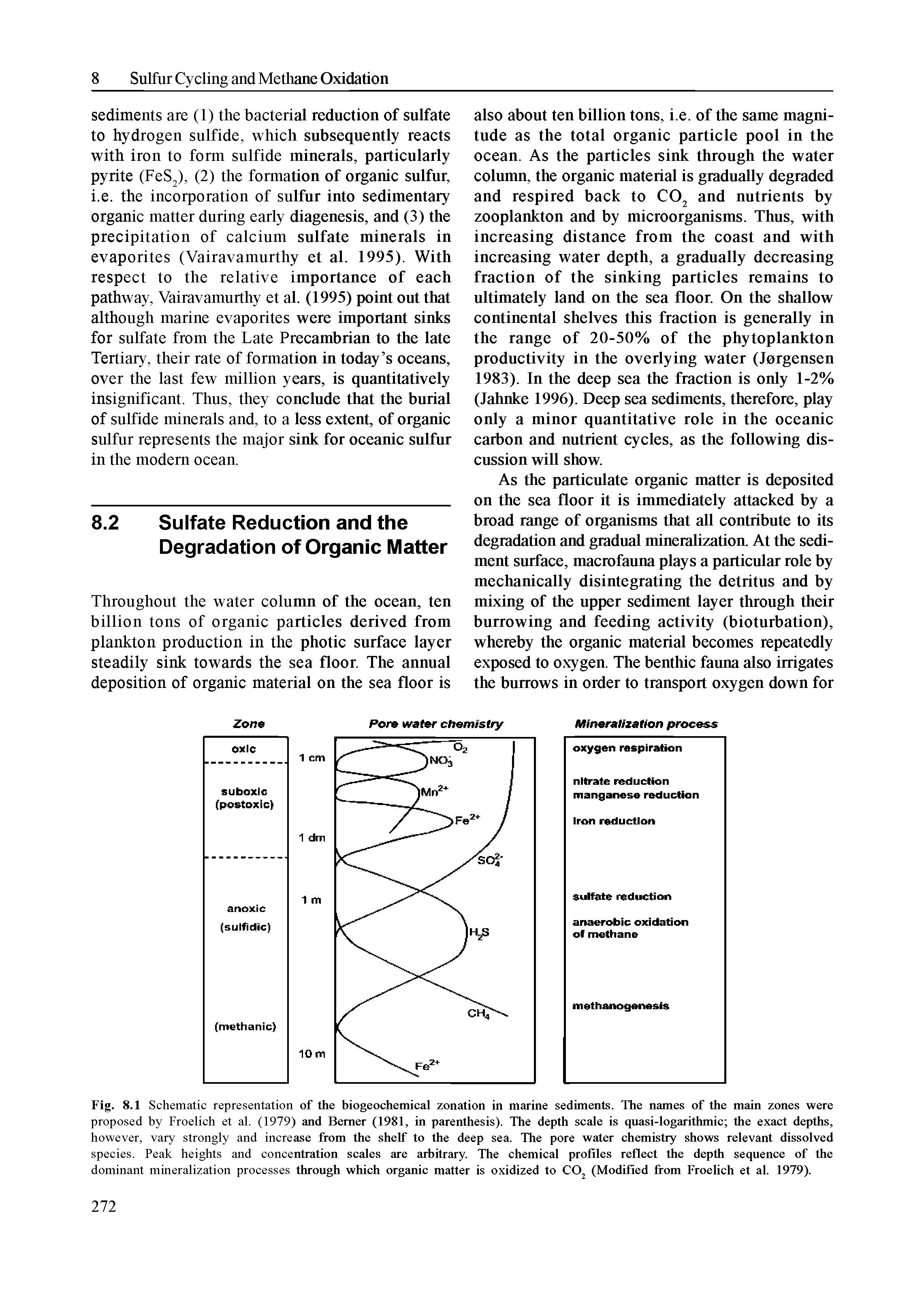 Fig. 8.1 Schematic representation of the biogeochemical zonation in marine sediments. The names of the main zones were proposed by Froelich et al. (1979) and Berner (1981, in parenthesis). The depth scale is quasi-logarithmic die exact depths, however, vary strongly and increase from the shelf to the deep sea. The pore water chemistry shows relevant dissolved species. Peak heights and concentration scales are arbitrary. The chemical profiles reflect the depdi sequence of the dominant mineralization processes through which organic matter is oxidized to CO, (Modified from Froelich et al. 1979).