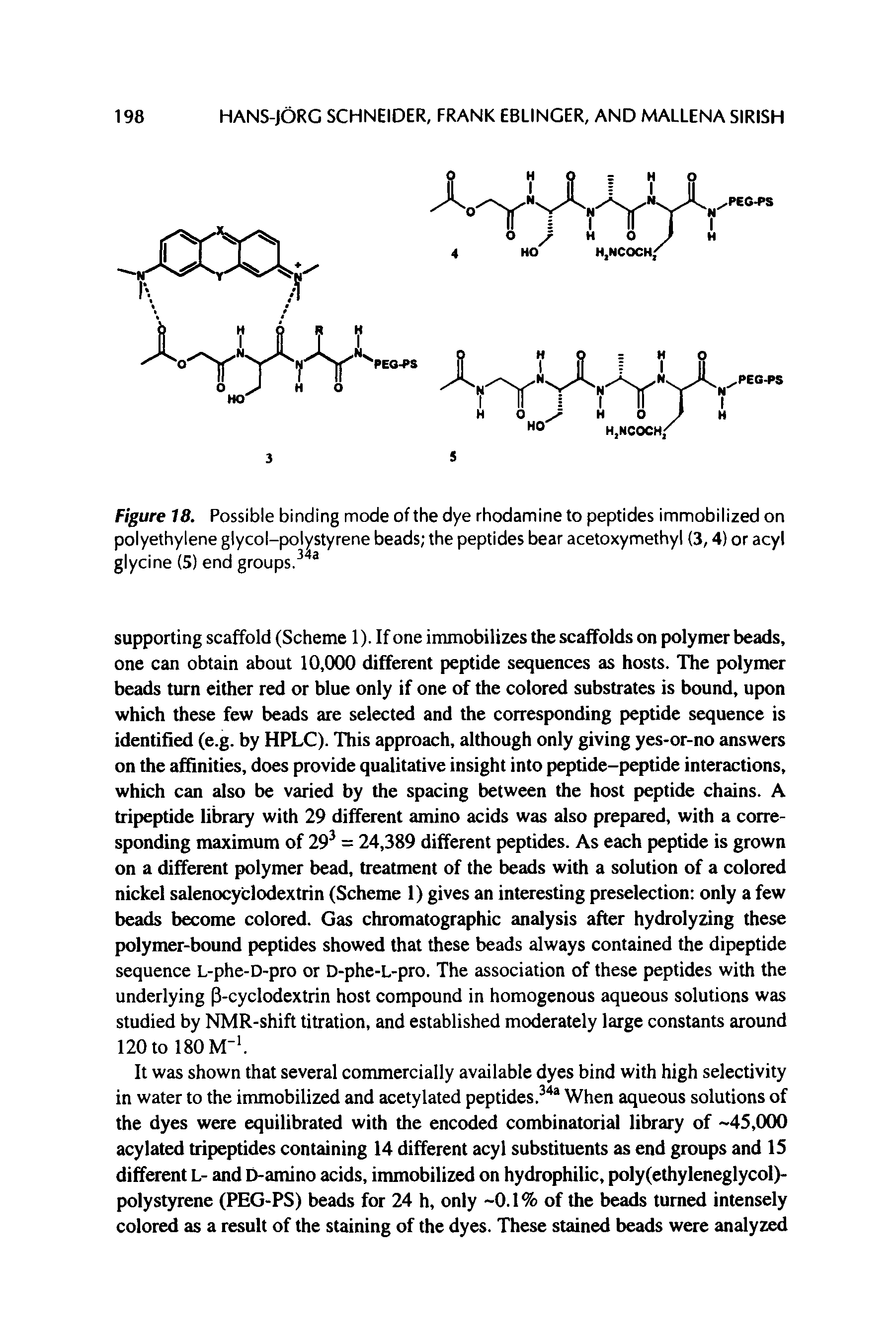 Figure 18. Possible binding mode of the dye rhodamine to peptides immobilized on polyethylene glycol-polystyrene beads the peptides bear acetoxymethyl (3,4) or acyl glycine (5) end groups. ...