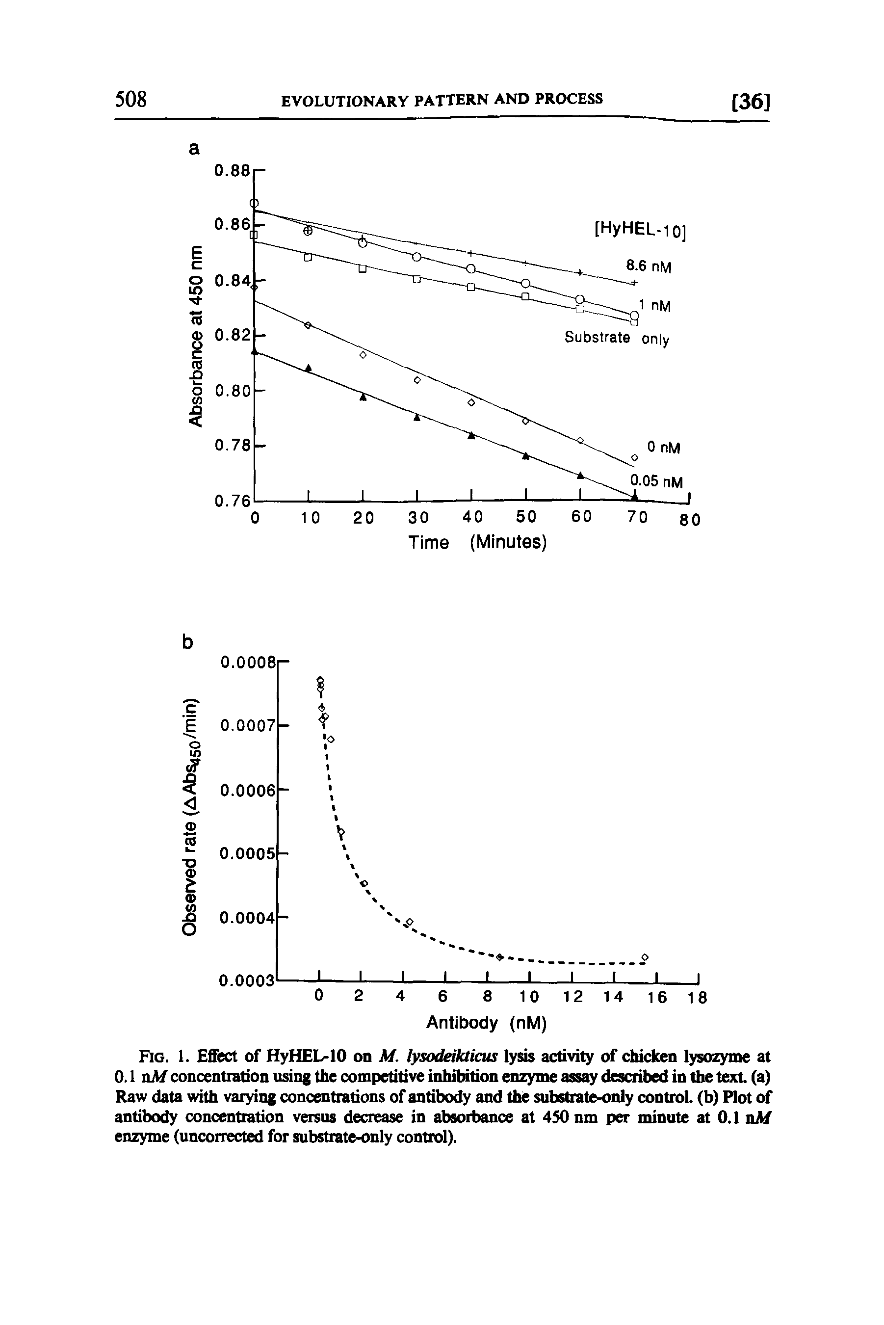 Fig. 1. Effect of HyHEL-10 on M. lysodeikticus lysis activity of chicken lysozyme at 0.1 nM concentration using the competitive inhibition enzyme assay described in the text (a) Raw data with varying concentrations of antibody and the substrate-only control, (b) Plot of antibody concentration versus decrease in absorbance at 450 nm per minute at 0.1 nAf enzyme (unconected for substrate-only control).