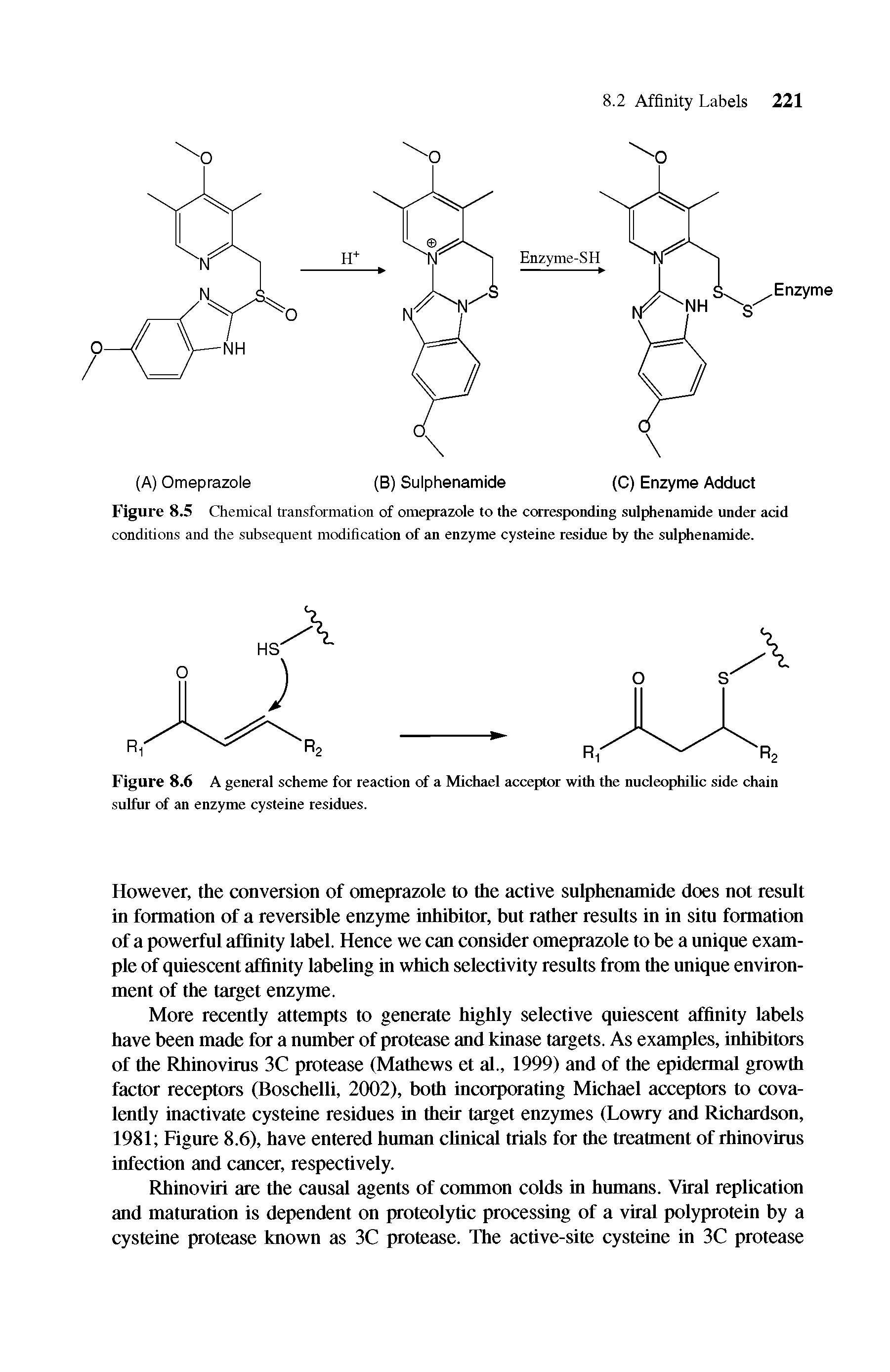 Figure 8.5 Chemical transformation of omeprazole to the corresponding sulphenamide under add conditions and the subsequent modification of an enzyme cysteine residue by the sulphenamide.