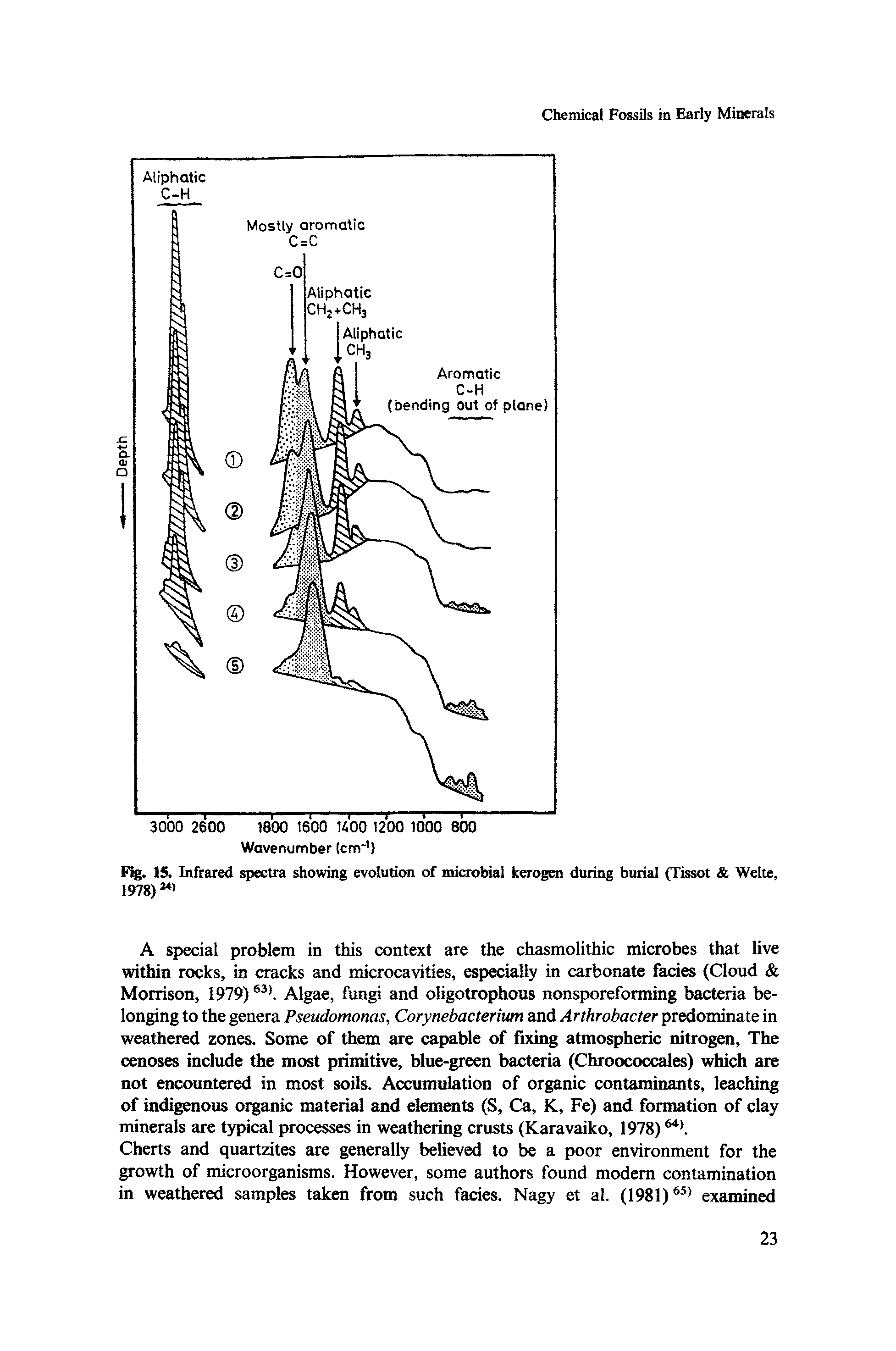 Fig. 15. Infrared spectra showing evolution of microbial kerogen during burial (Tissot Welte, 1978) 241...