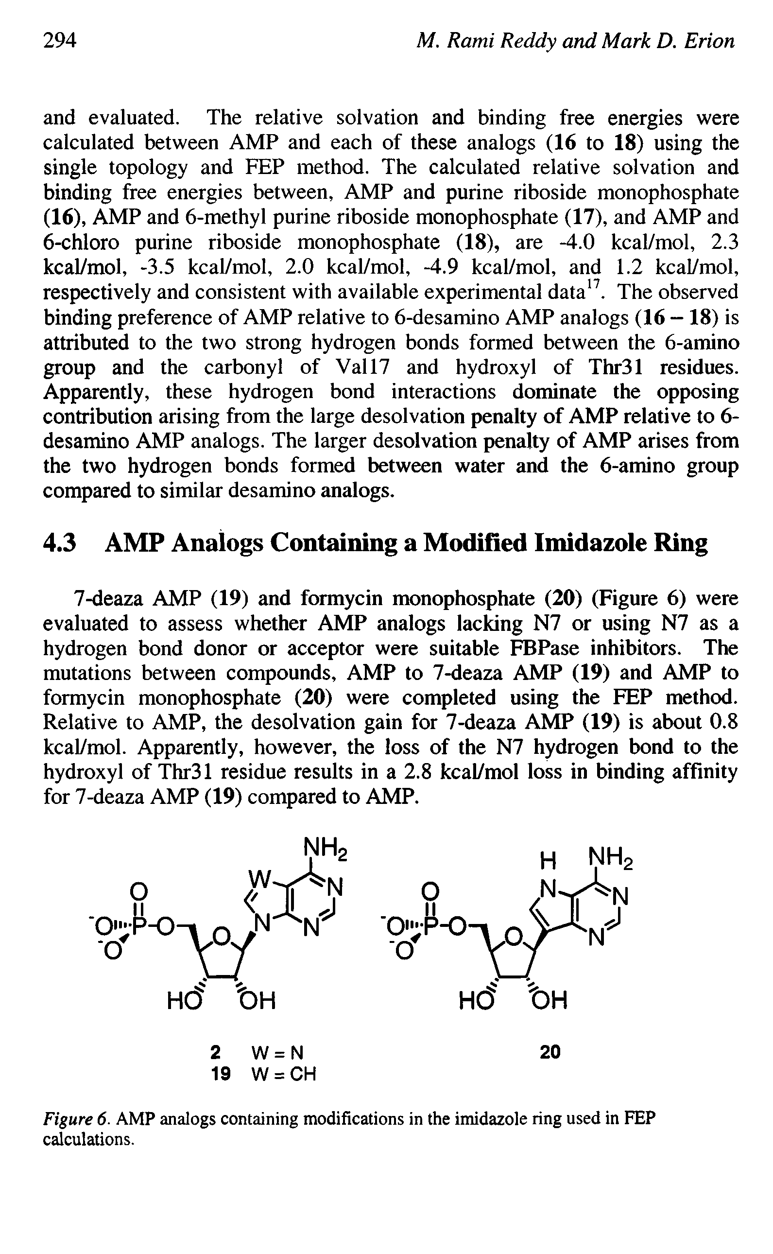 Figure 6. AMP analogs containing modifications in the imidazole ring used in FEP calculations.