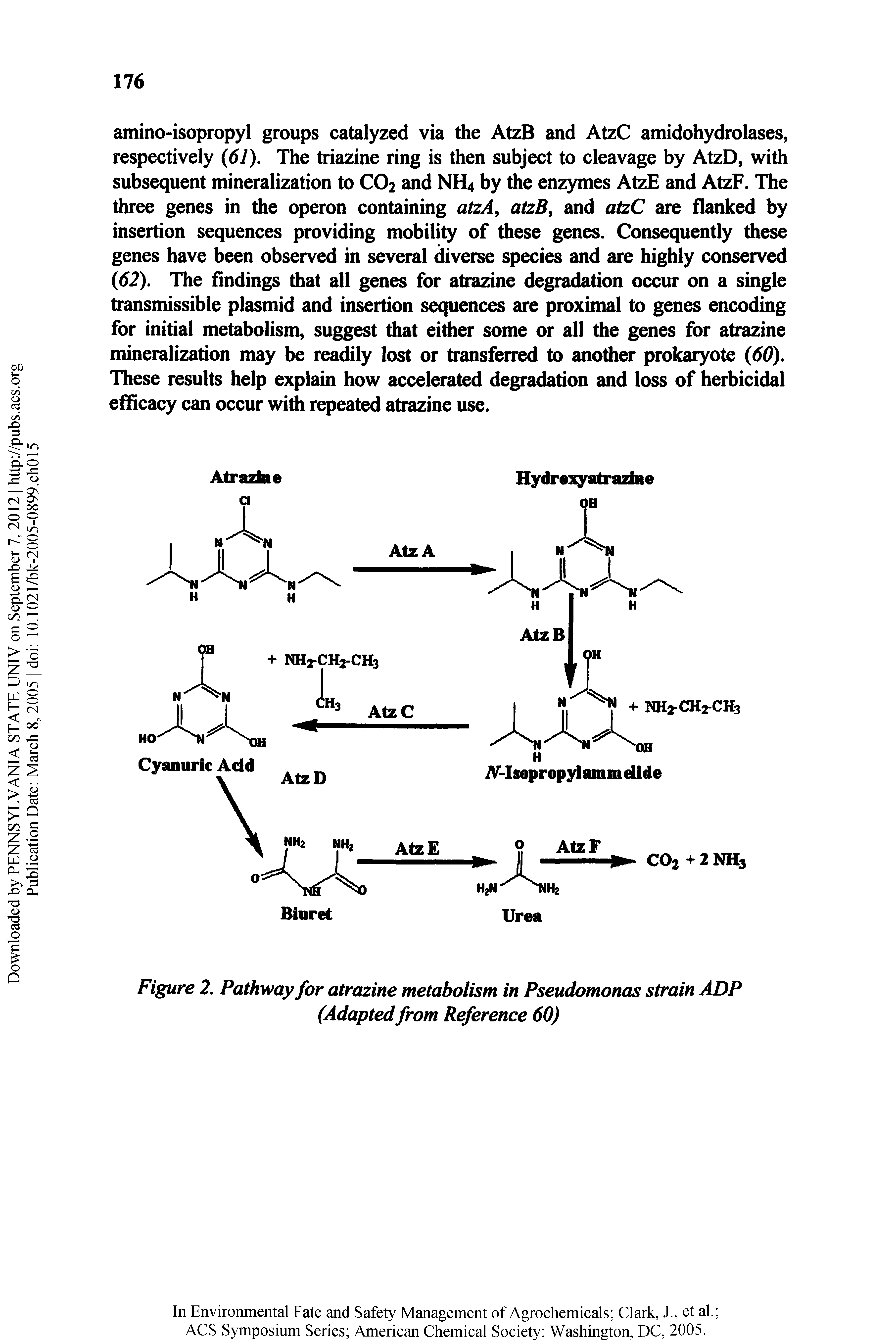 Figure 2. Pathway for atrazine metabolism in Pseudomonas strain ADP (Adapted from Reference 60)...