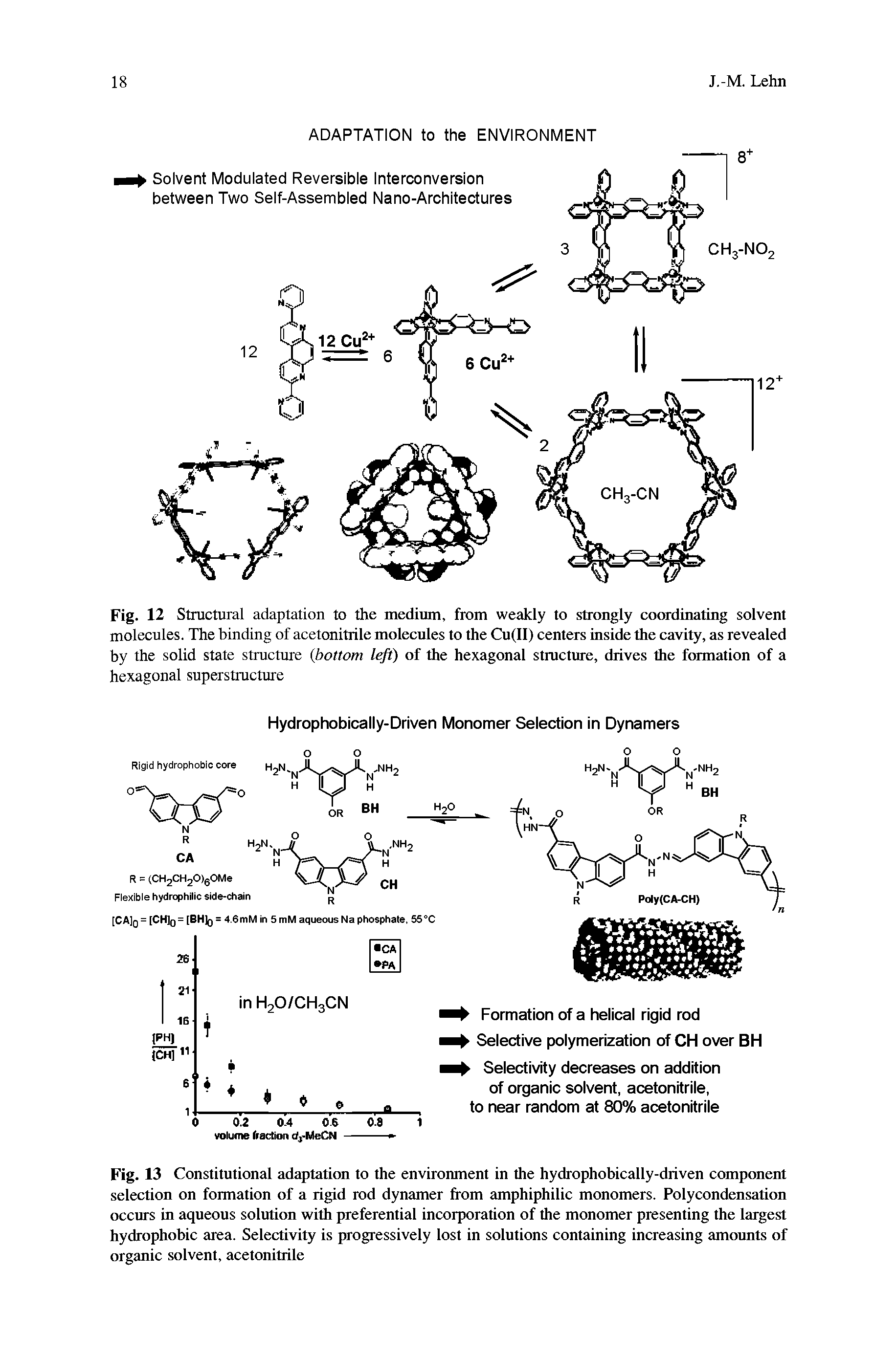 Fig. 13 Constitutional adaptation to the environment in the hydrophobically-driven component selection on formation of a rigid rod dynamer from amphiphilic monomers. Polycondensation occurs in aqueous solution with preferential incorporation of the monomer presenting the largest hydrophobic area. Selectivity is progressively lost in solutions containing increasing amounts of organic solvent, acetonitrile...
