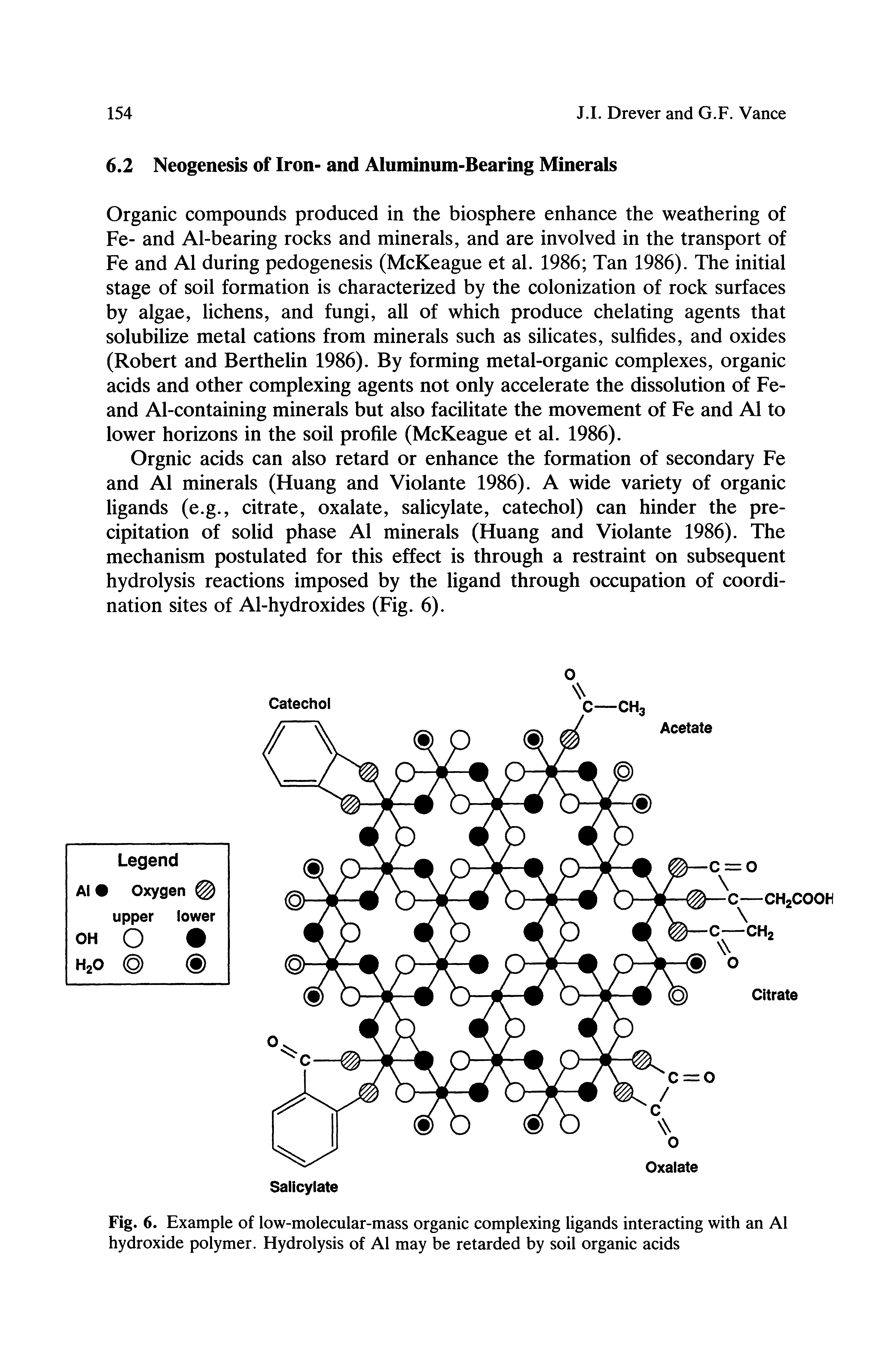 Fig. 6. Example of low-molecular-mass organic complexing ligands interacting with an Al hydroxide polymer. Hydrolysis of Al may be retarded by soil organic acids...